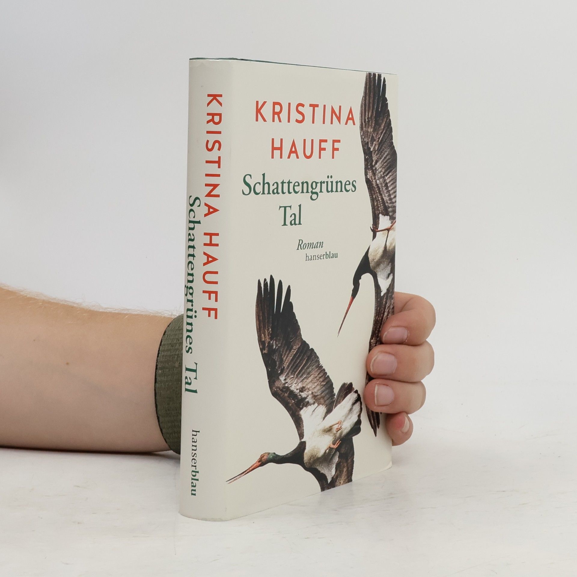 Kristina Hauff Schattengrünes Tal