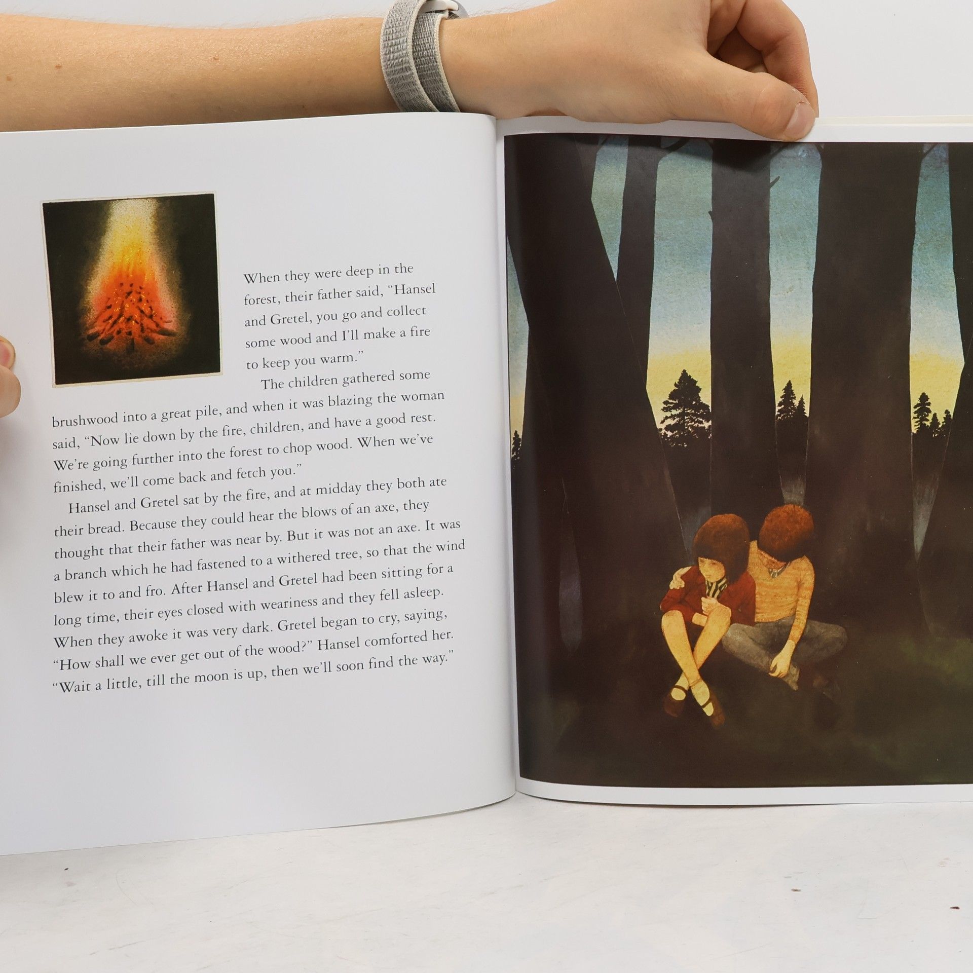Anthony Browne Hansel and Gretel