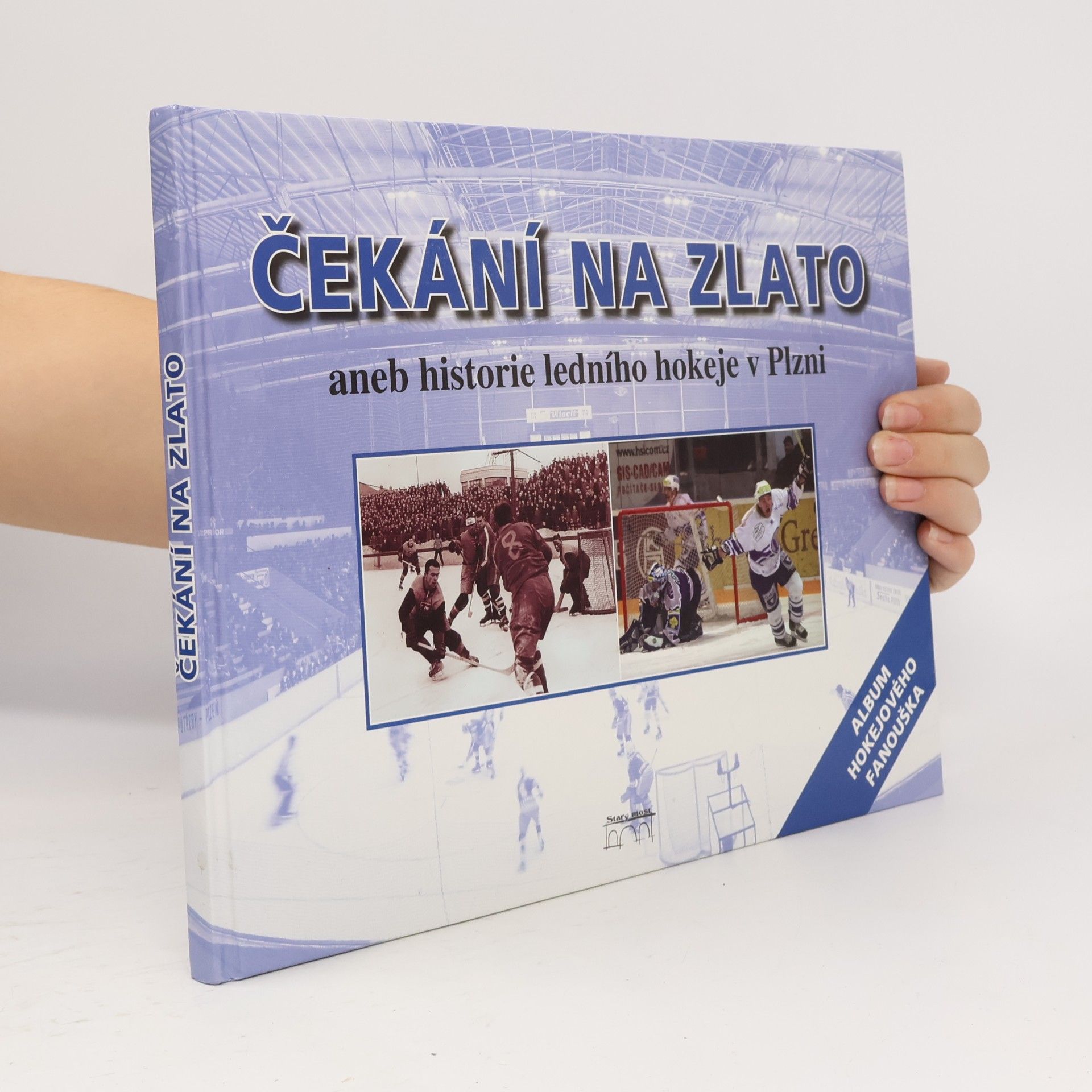 Jiří Orna Čekání na zlato, aneb, Historie ledního hokeje v Plzni