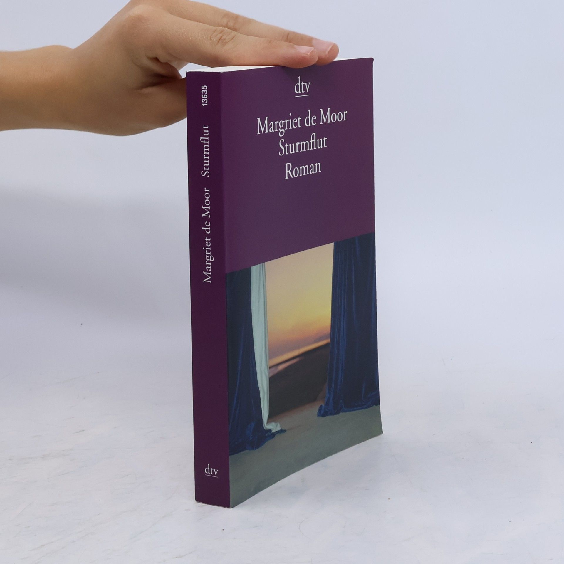 Margriet de Moor Sturmflut