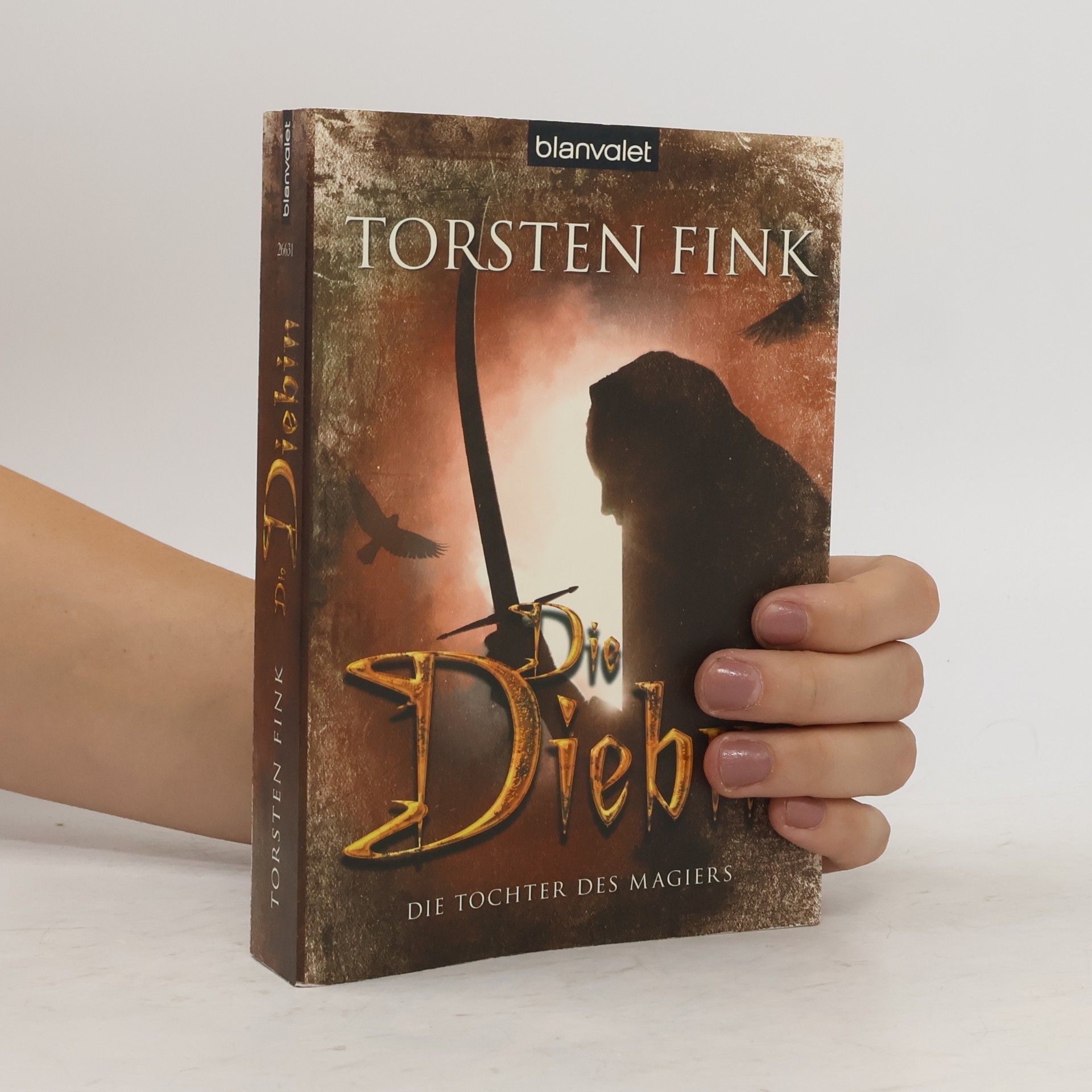 Torsten Fink Die Diebin. Die Tochter des Magiers
