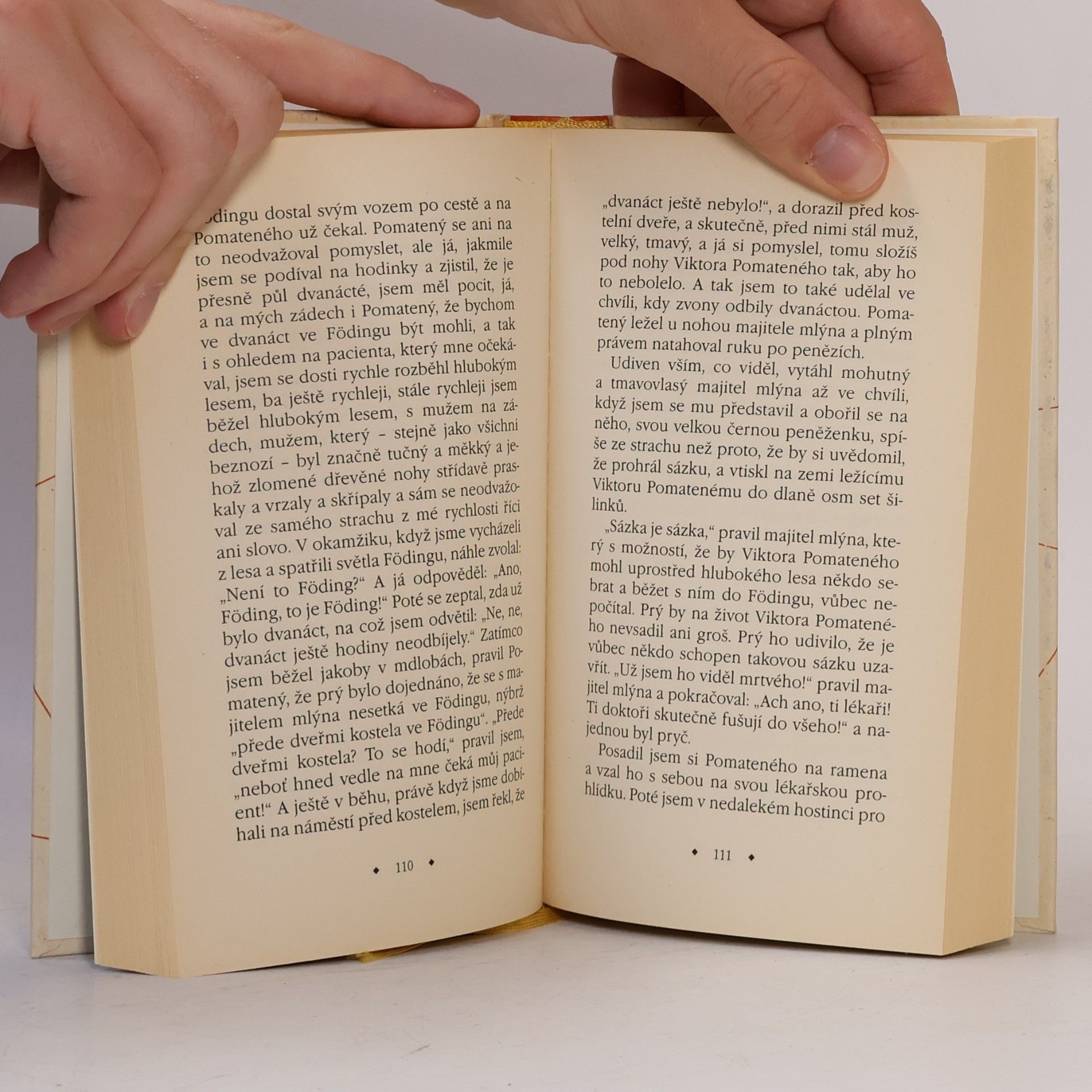 Thomas Bernhard Je to komedie? Je to tragédie? : povídky