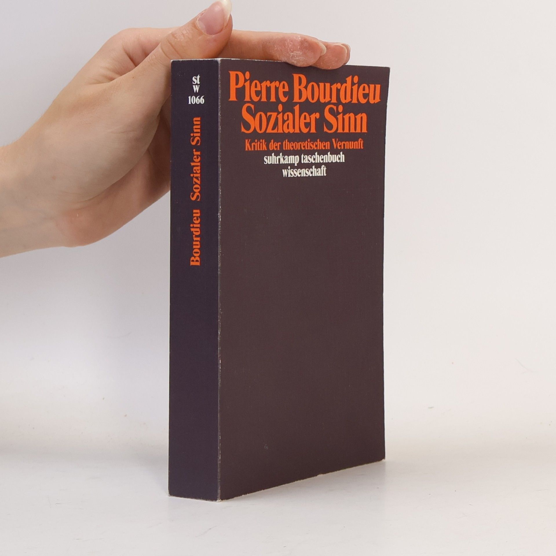 Pierre Bourdieu Sozialer Sinn