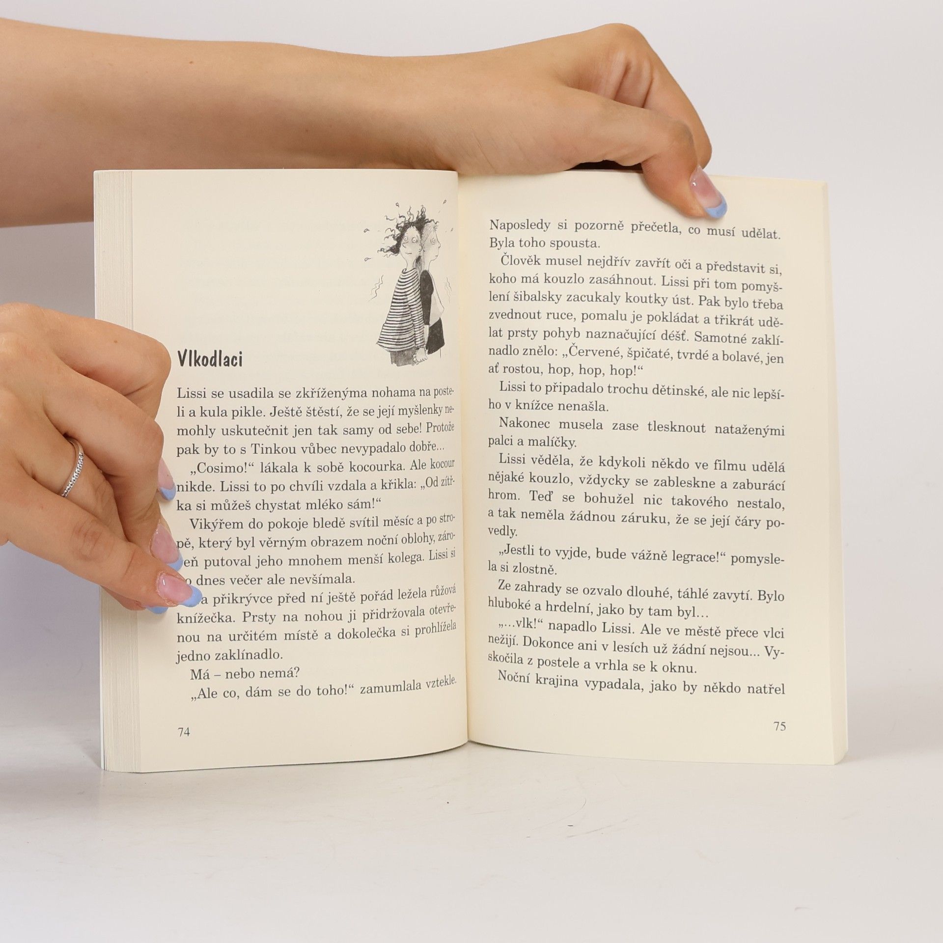 Thomas Brezina Bráchové a jiné katastrofy