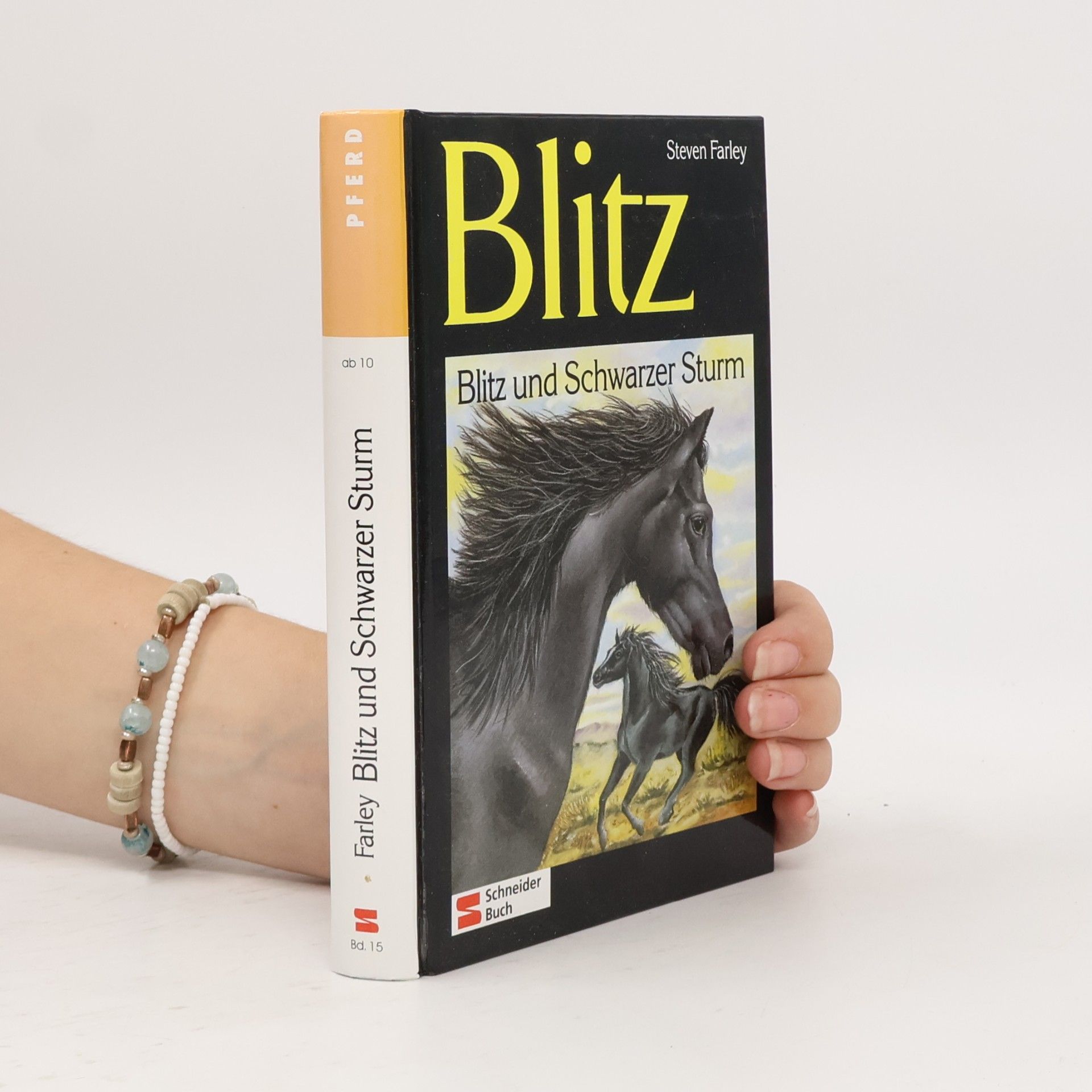Steven Farley Blitz und Schwarzer Sturm. Band 16