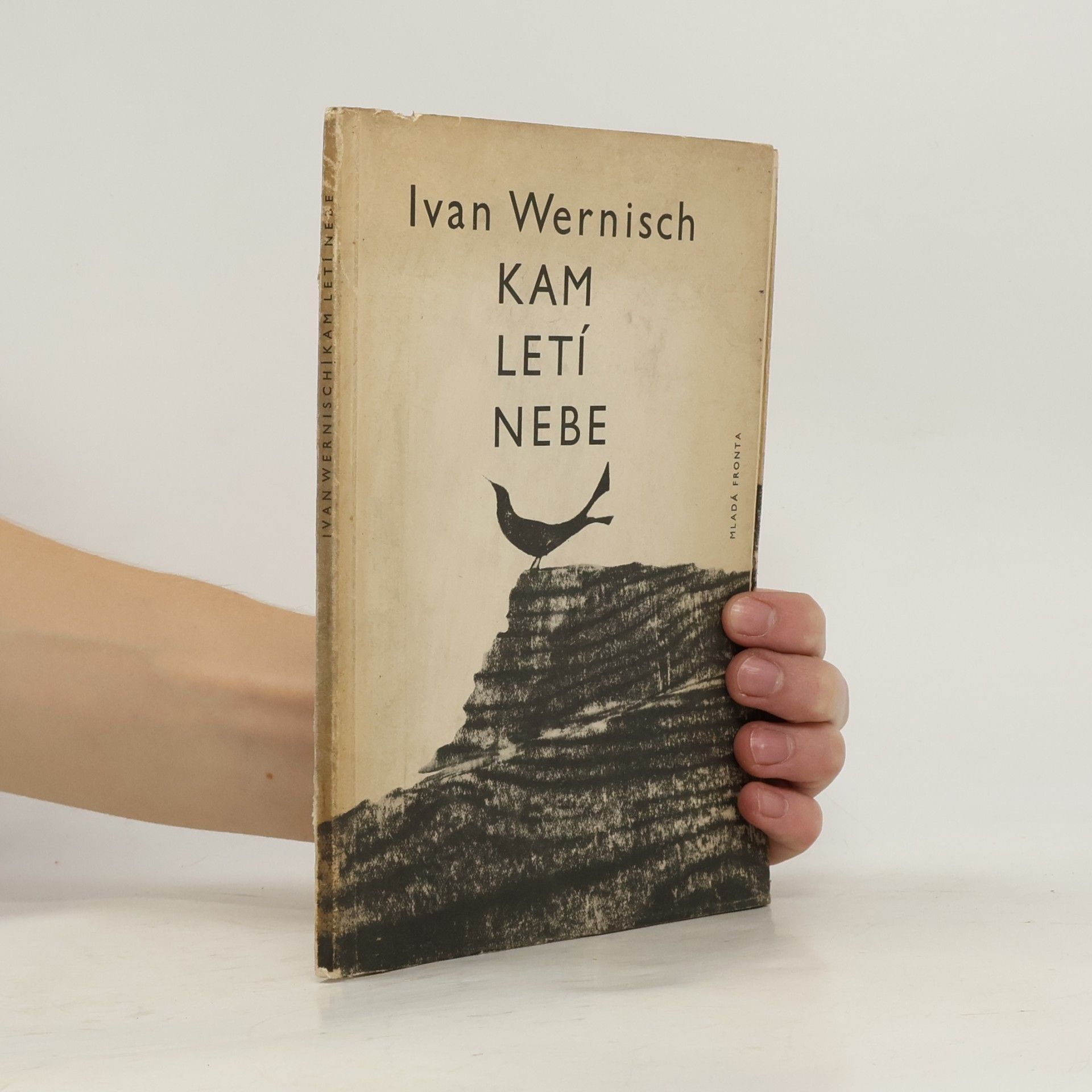 Ivan Wernisch Kam letí nebe