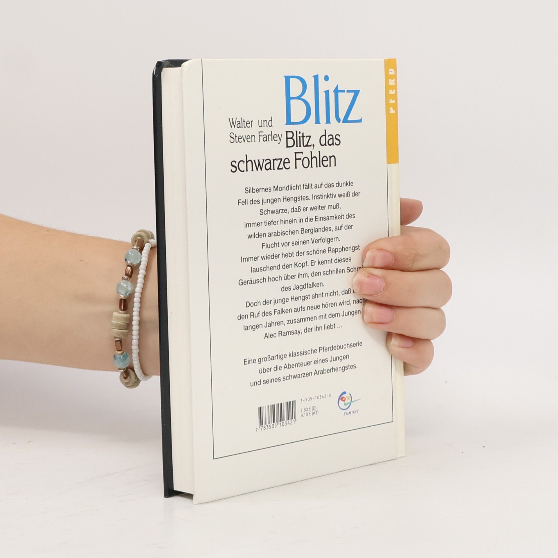 Walter Farley Blitz, das schwarze Fohlen