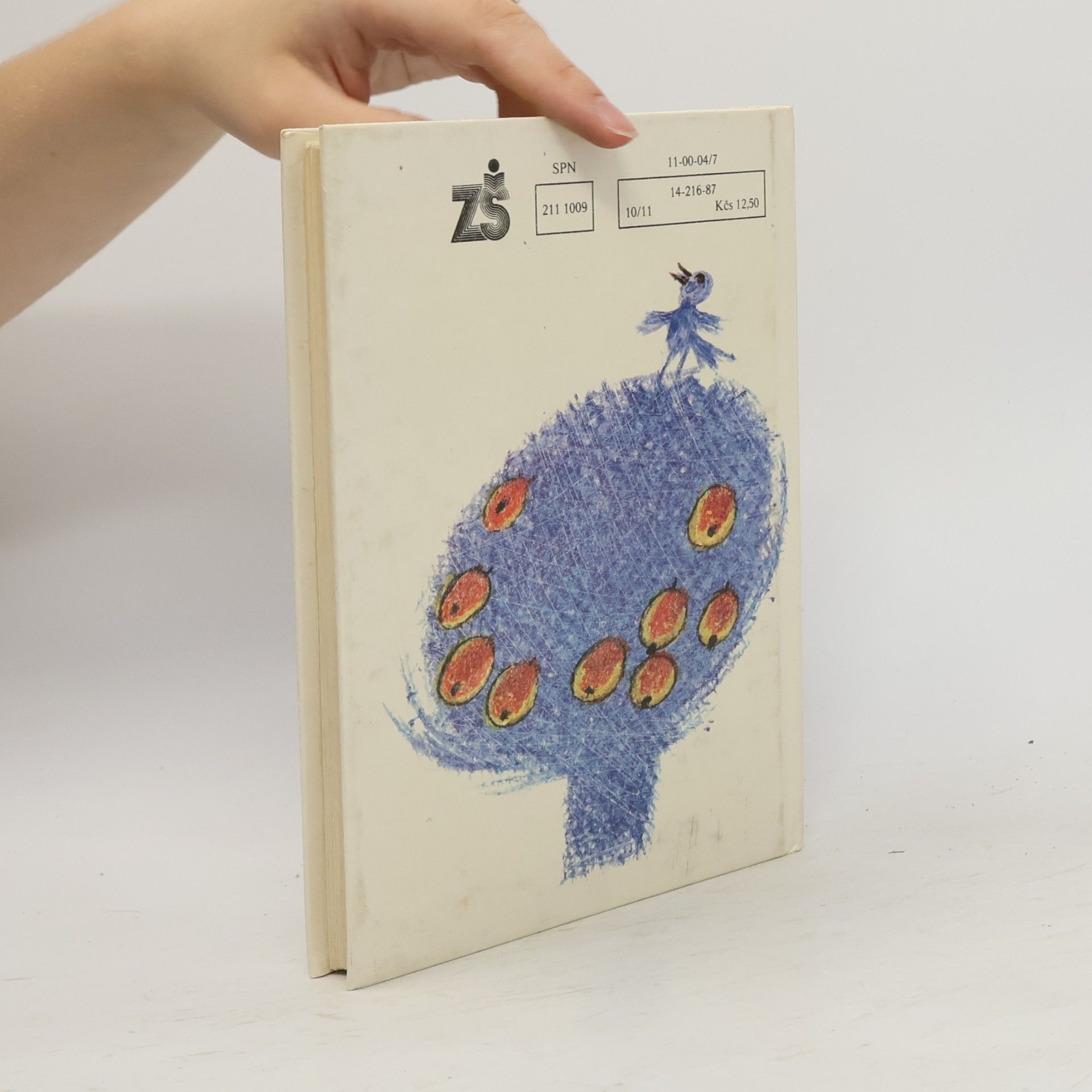 Collectif d'auteurs Český jazyk 4