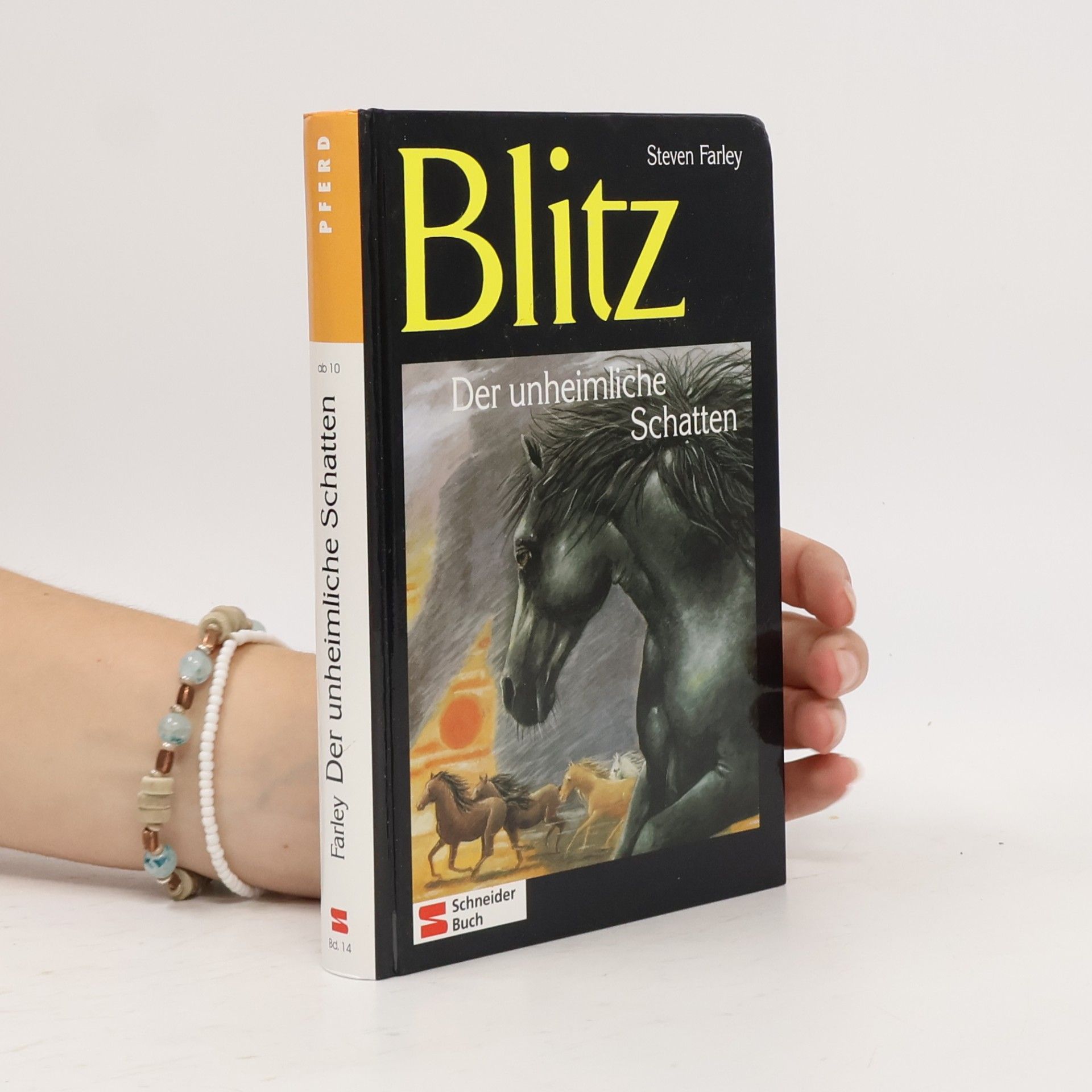 Steven Farley Blitz, der unheimliche Schatten