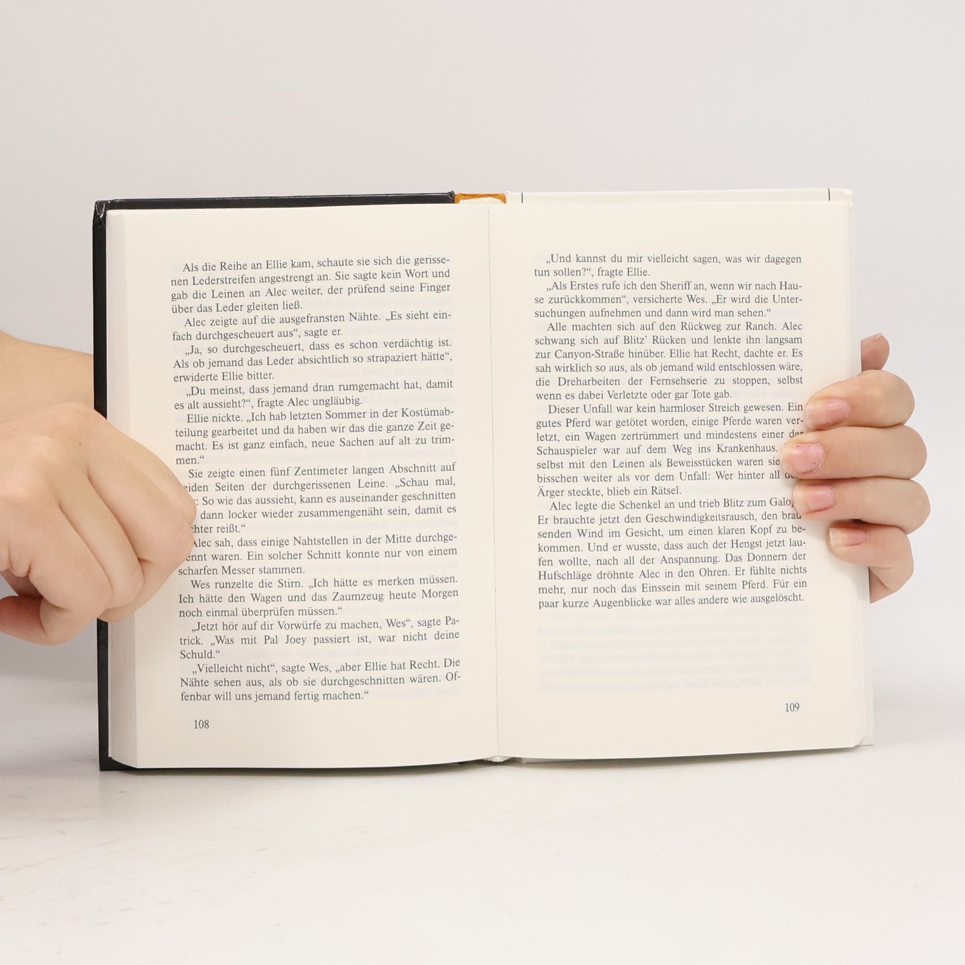 Steven Farley Blitz, der unheimliche Schatten