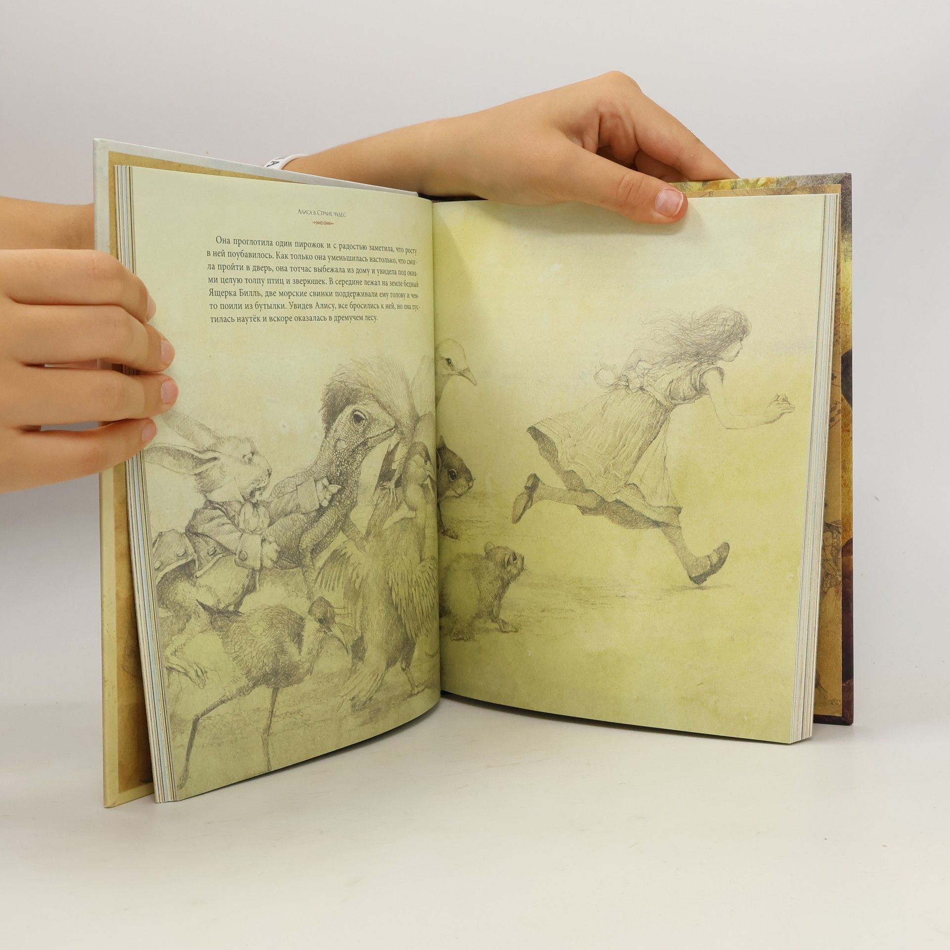 Lewis Carroll Алиса в Стране Чудес