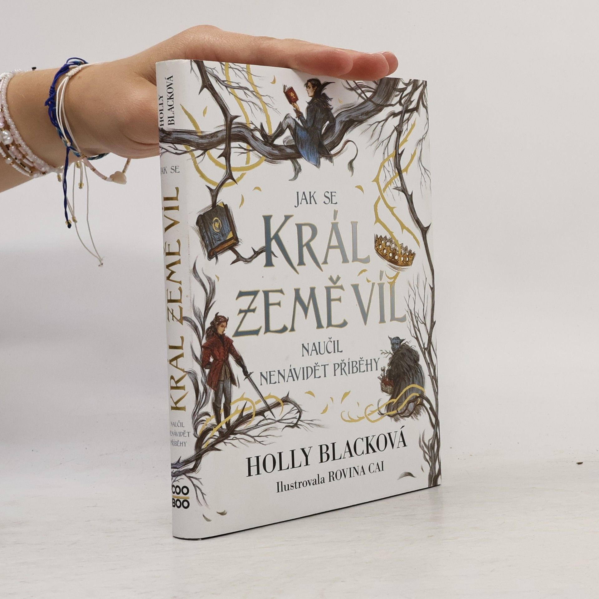 Holly Black Jak se král Země víl naučil nenávidět příběhy