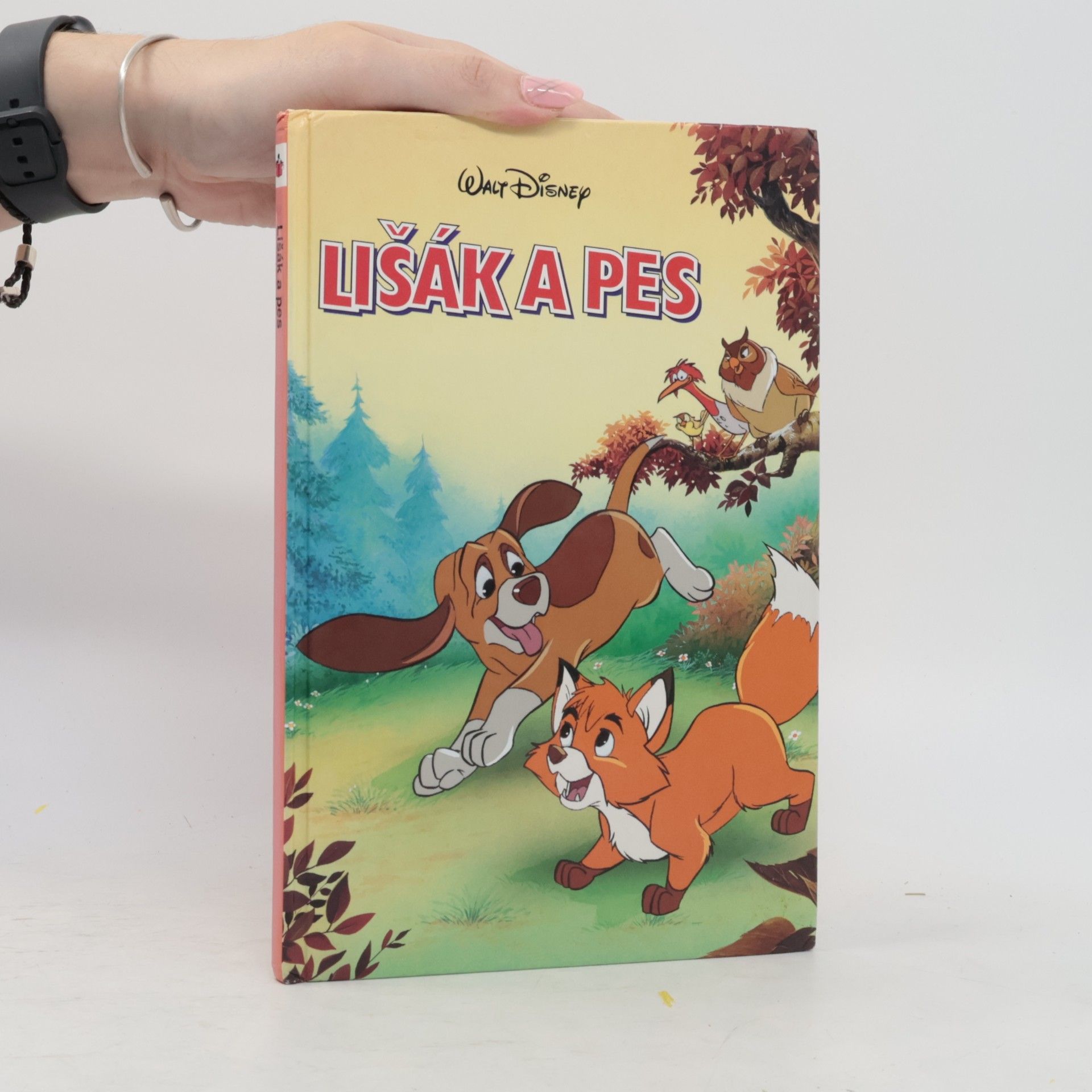 Walt Disney Lišák a pes