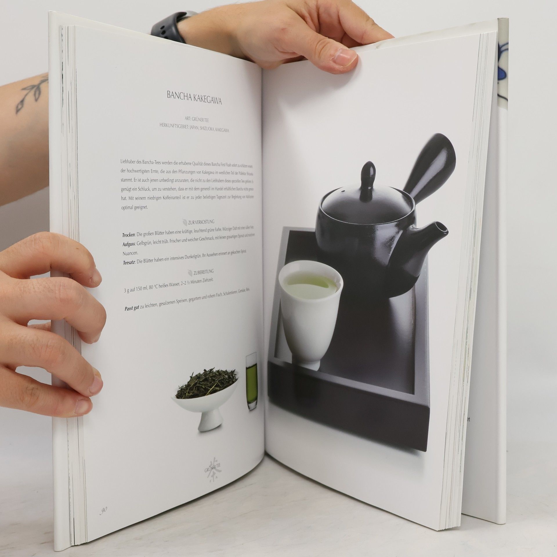 Gabriella Lombardi Tee-Sommelier