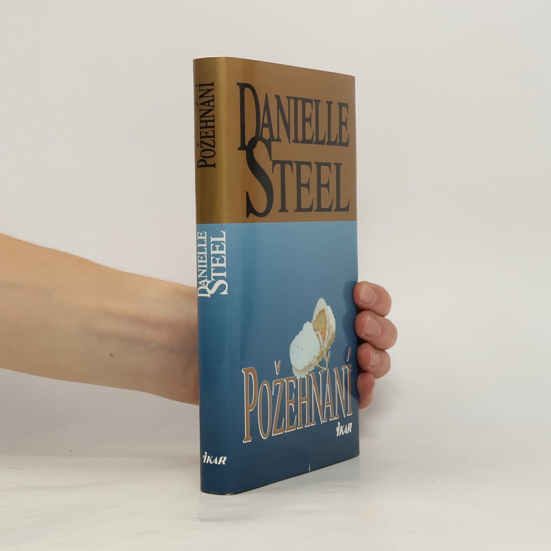 Danielle Steelová Požehnání