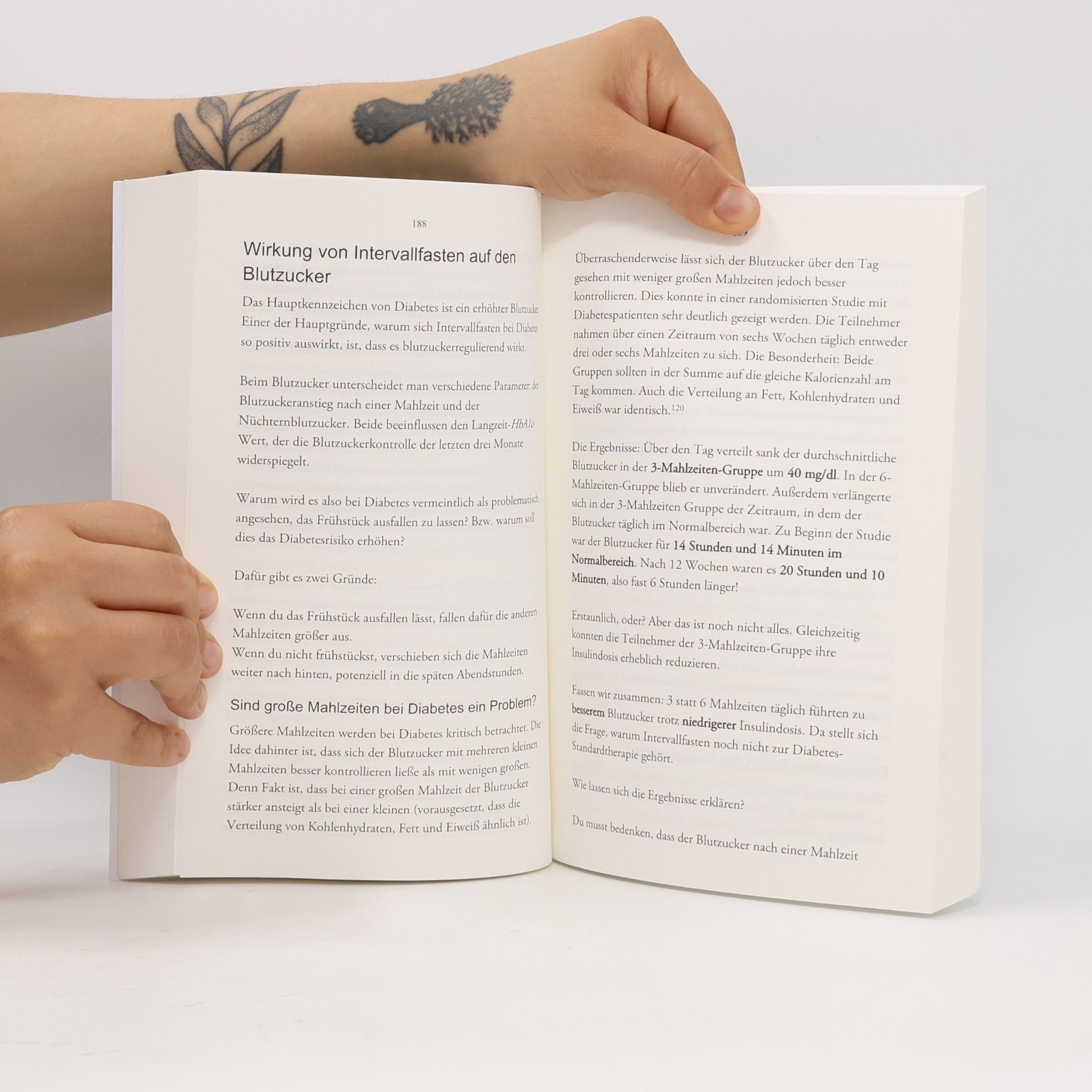 Sarah Neidler Das Intervallfasten Buch