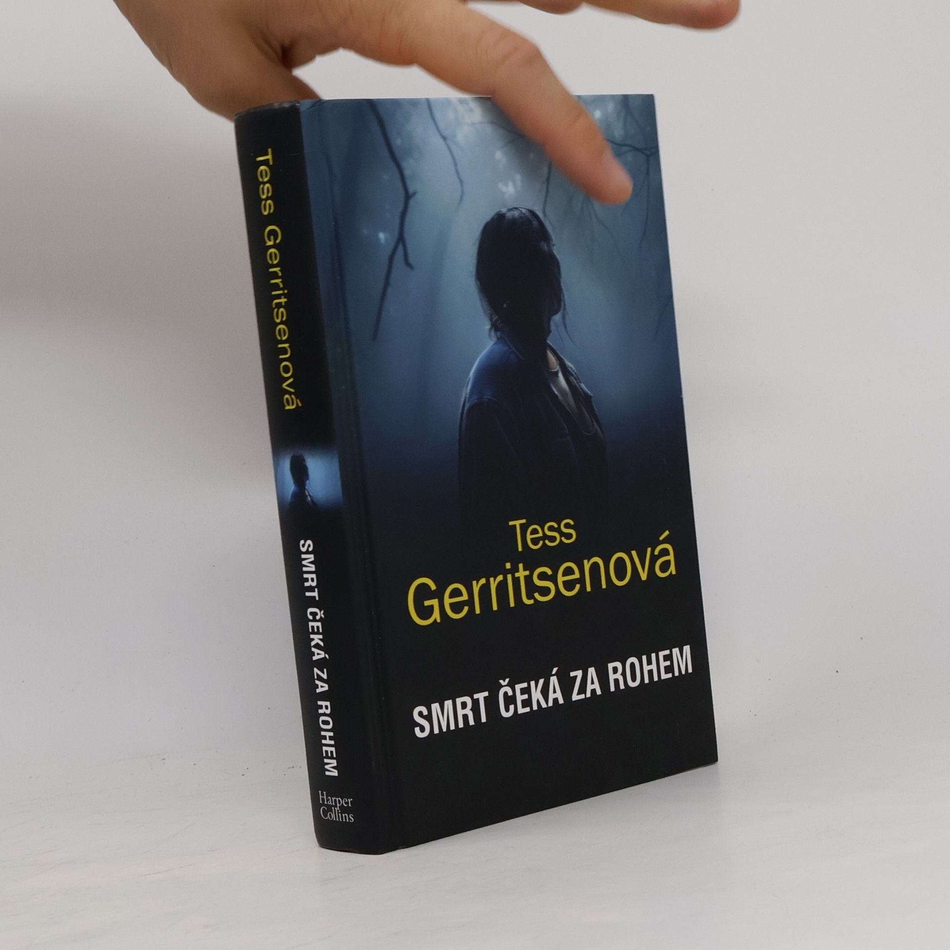 Tess Gerritsen Smrt čeká za rohem