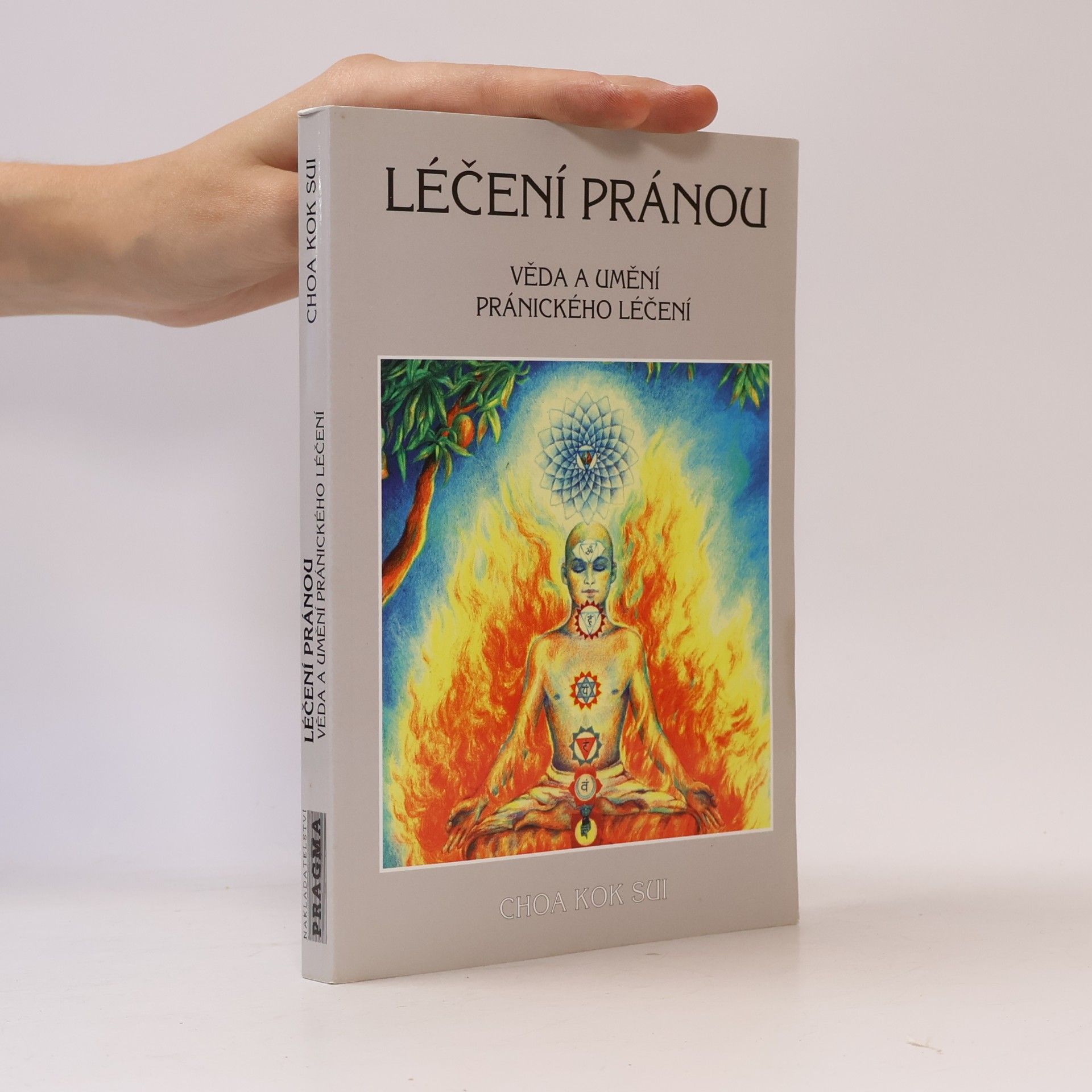 Choa Kok Sui Léčení pránou: Věda a umění pránického léčení