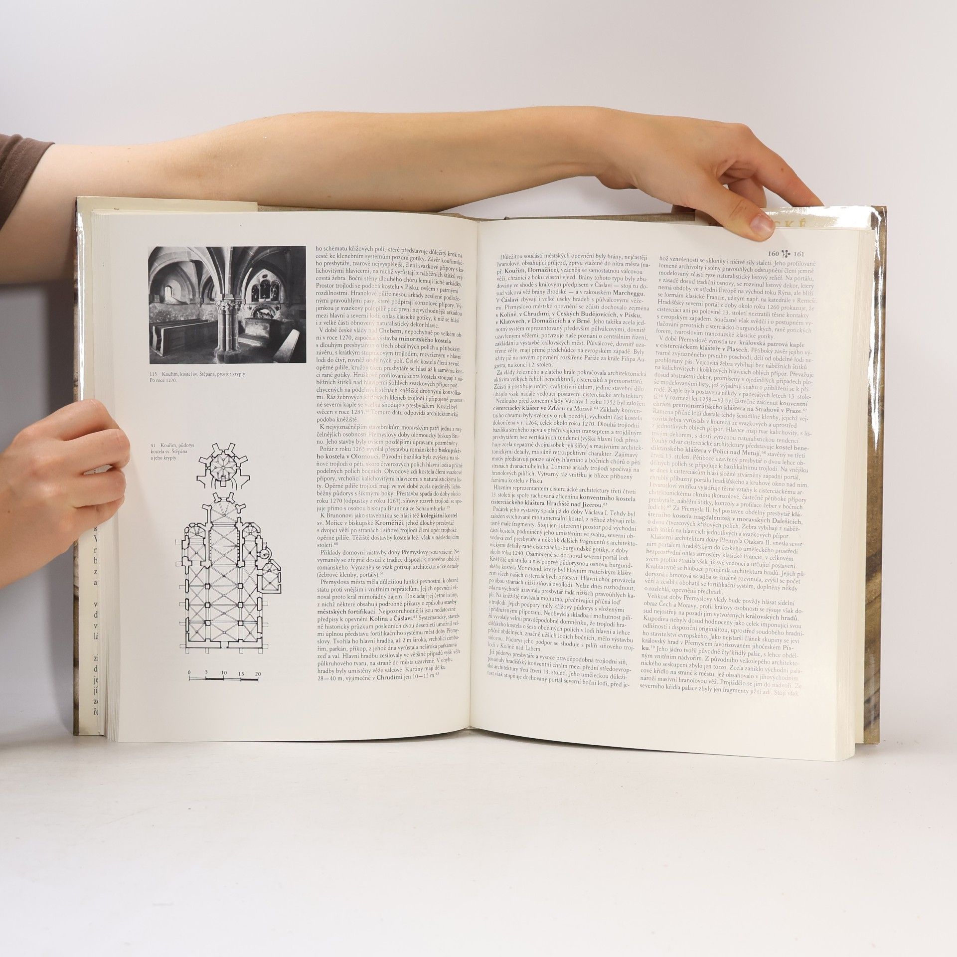 Autorenkollektiv Dějiny českého výtvarného umění od počátku do konce středověku I/1