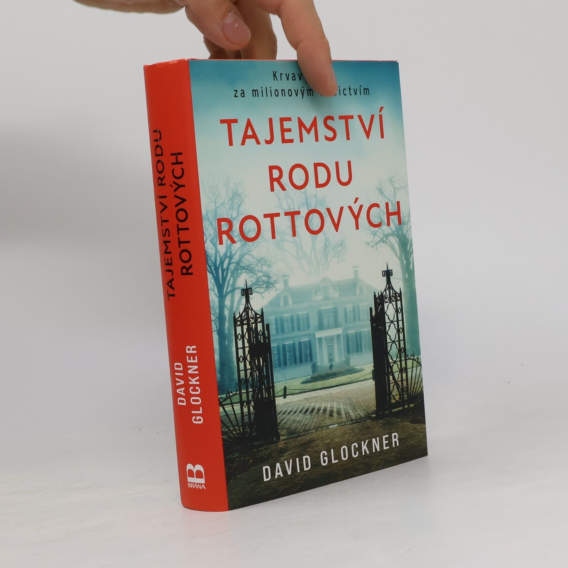 David Glockner Tajemství rodu Rottových