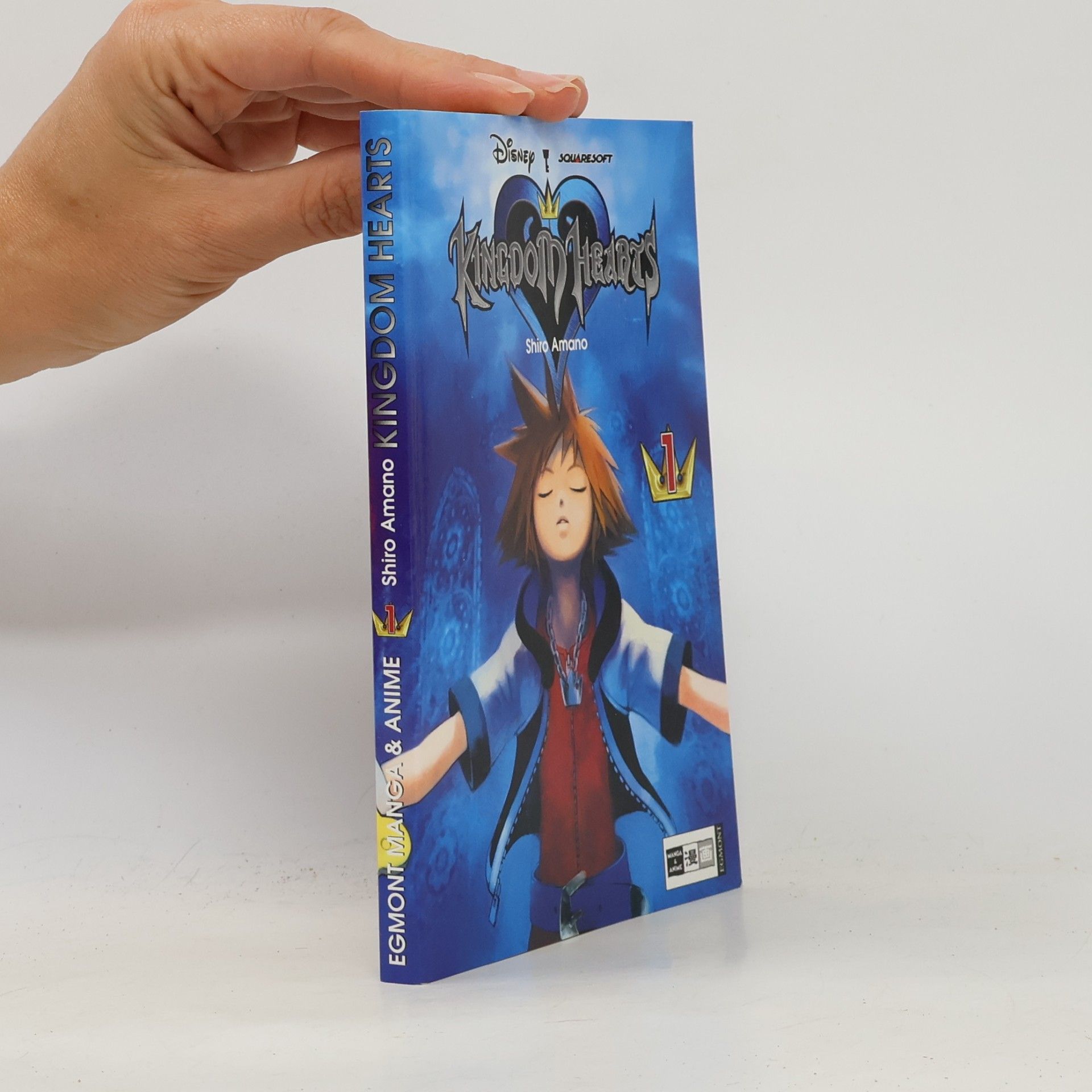 Autorenkollektiv Kingdom hearts