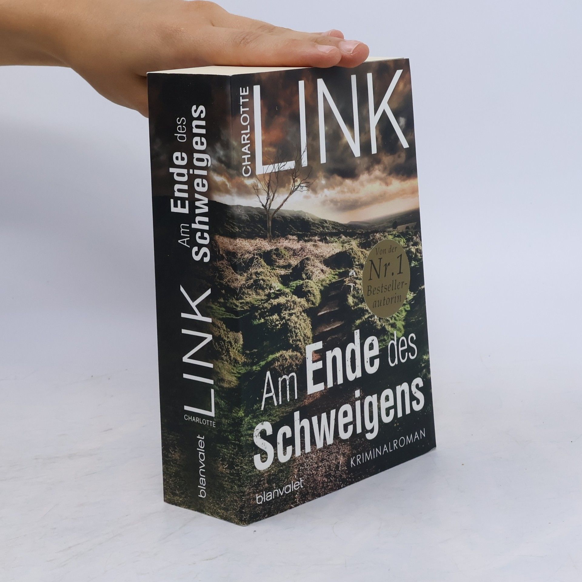 Charlotte Link Am Ende des Schweigens