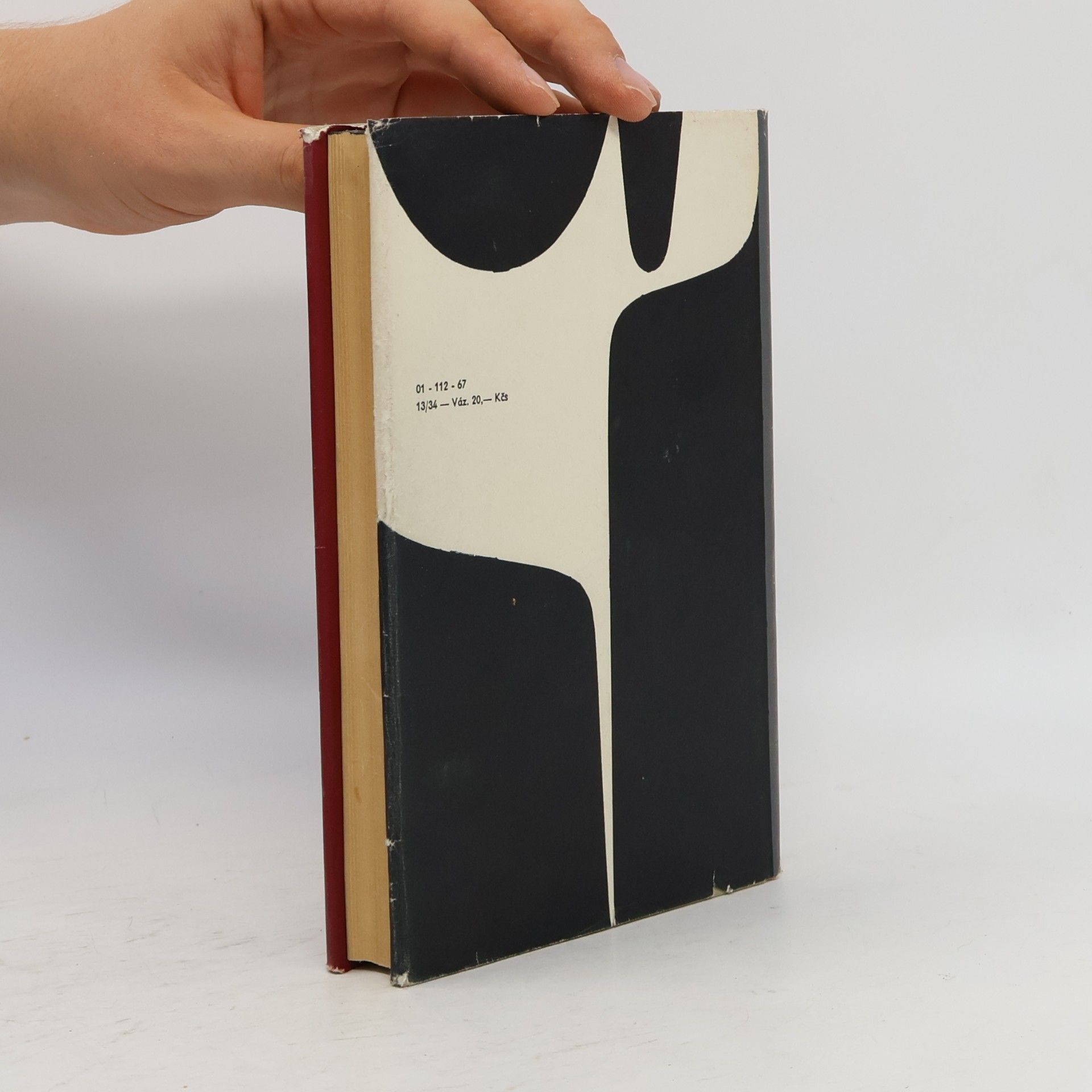 Erich Maria Remarque Vítězný oblouk