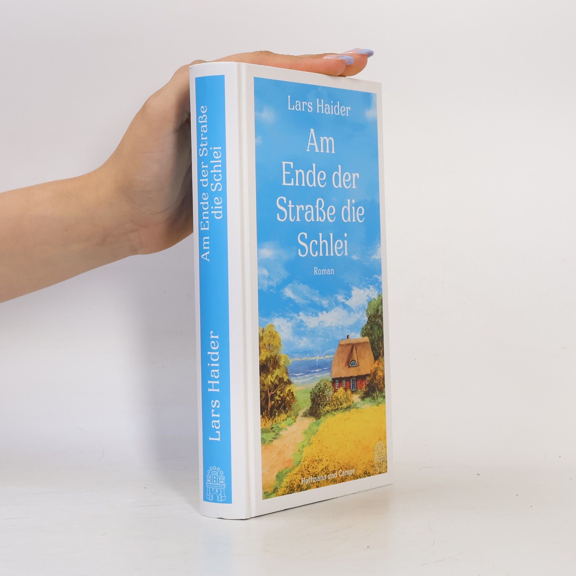 Lars Haider Am Ende der Straße die Schlei