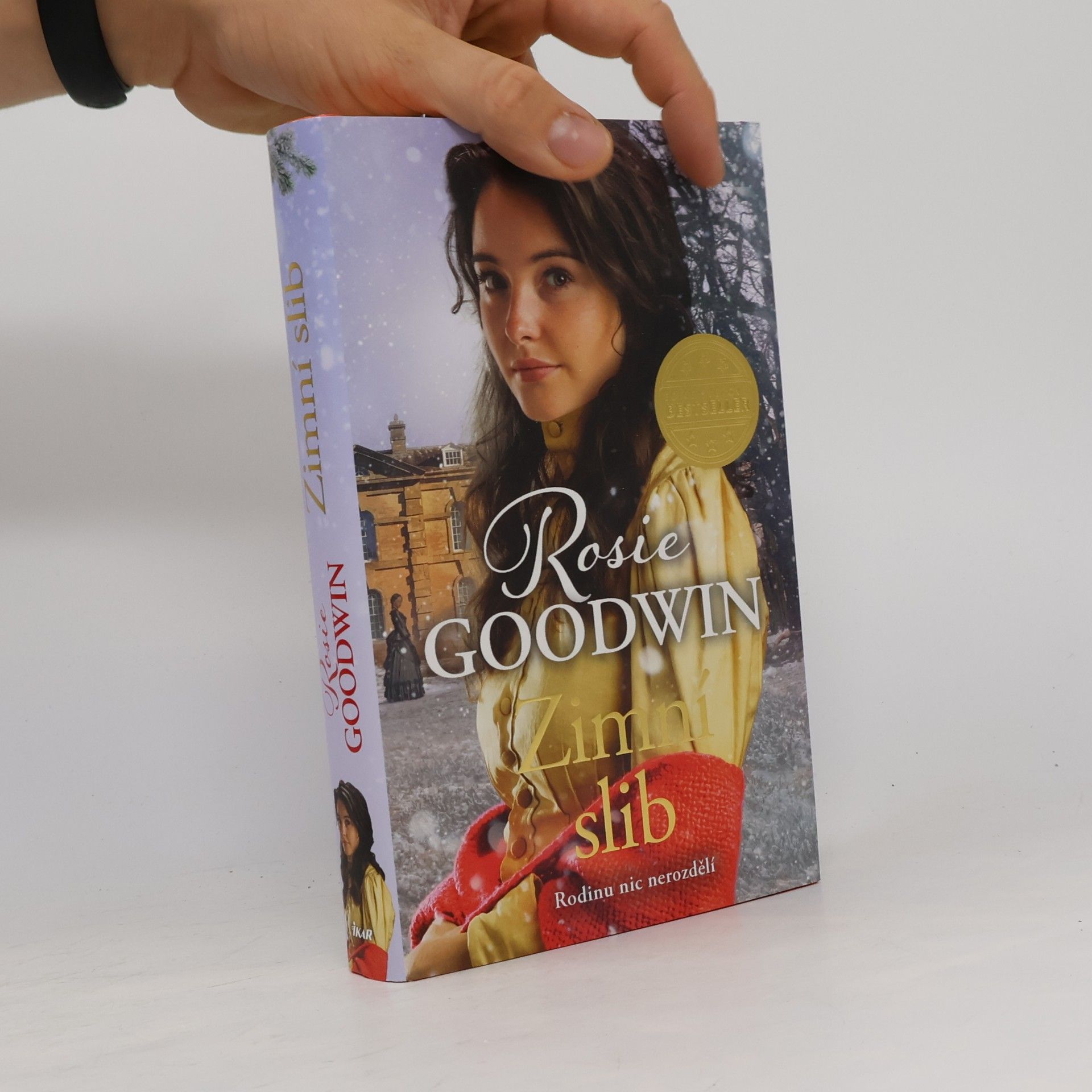 Rosie Goodwin Zimní slib