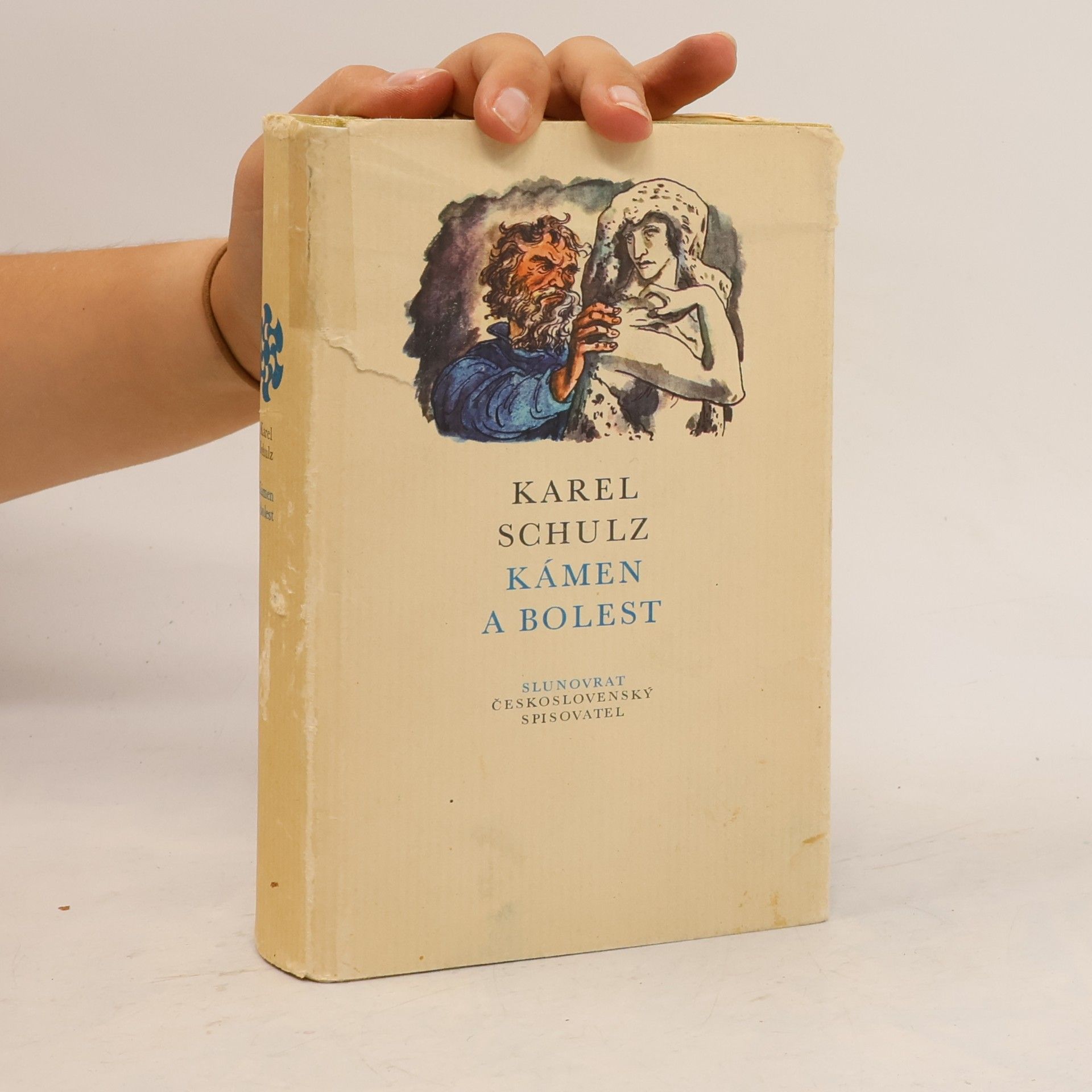 Karel Schulz Kámen a bolest