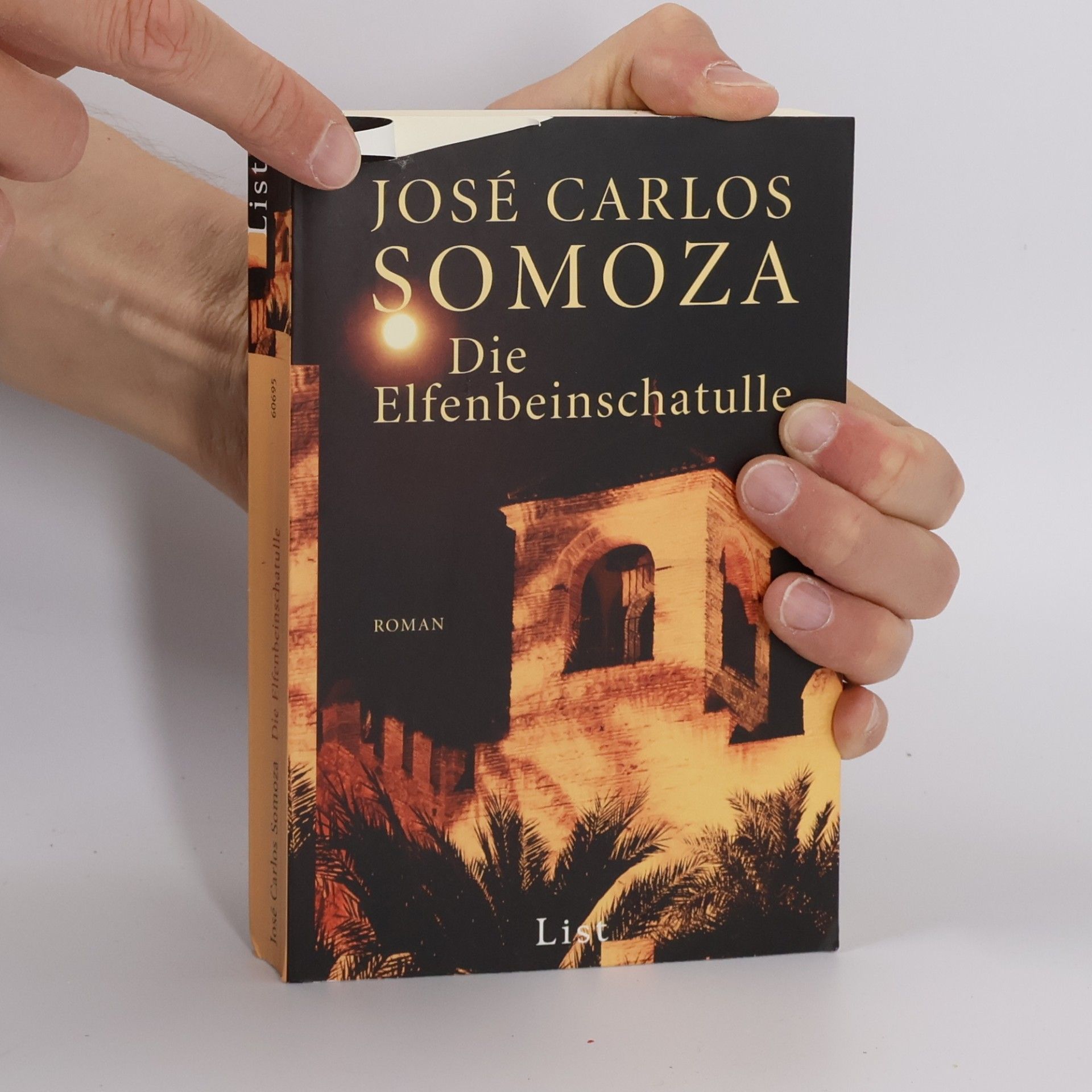 José Carlos Somoza Die Elfenbeinschatulle