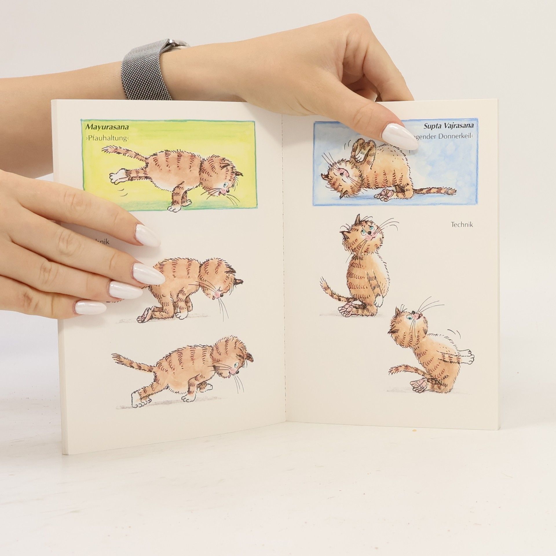 Traudl Reiner Yoga für Katzen