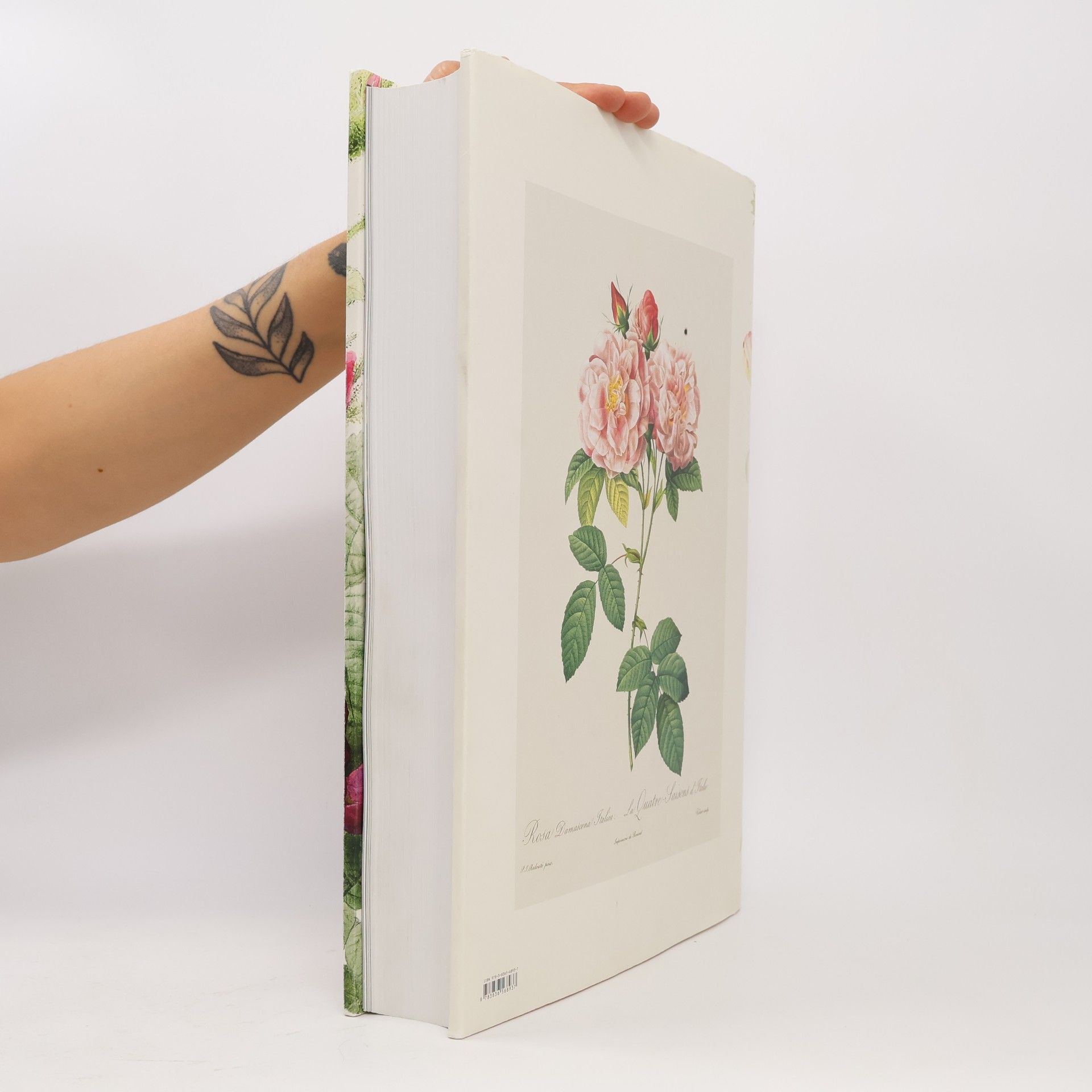Pierre-Joseph Redouté The book of flowers