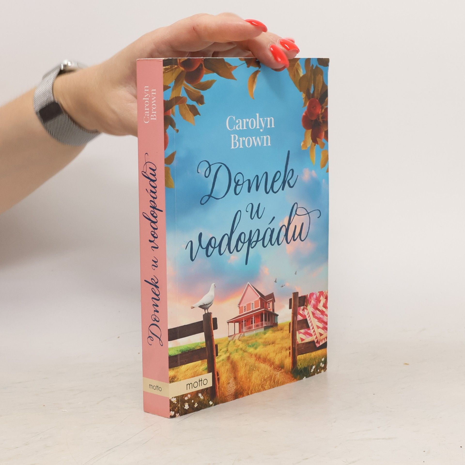 Carolyn Brown Domek u vodopádu