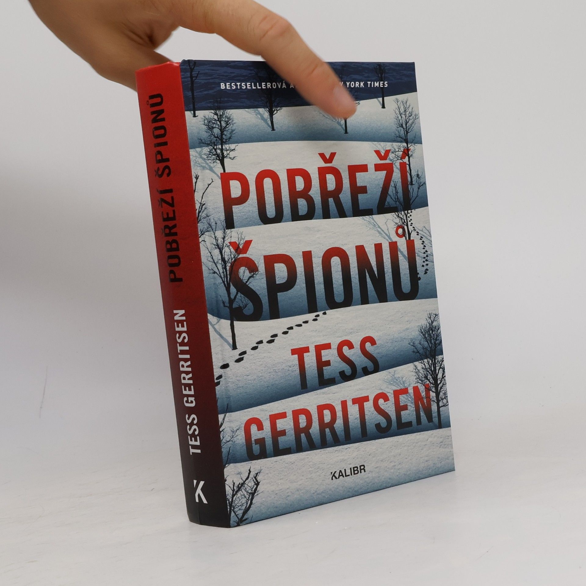 Tess Gerritsen Pobřeží špionů