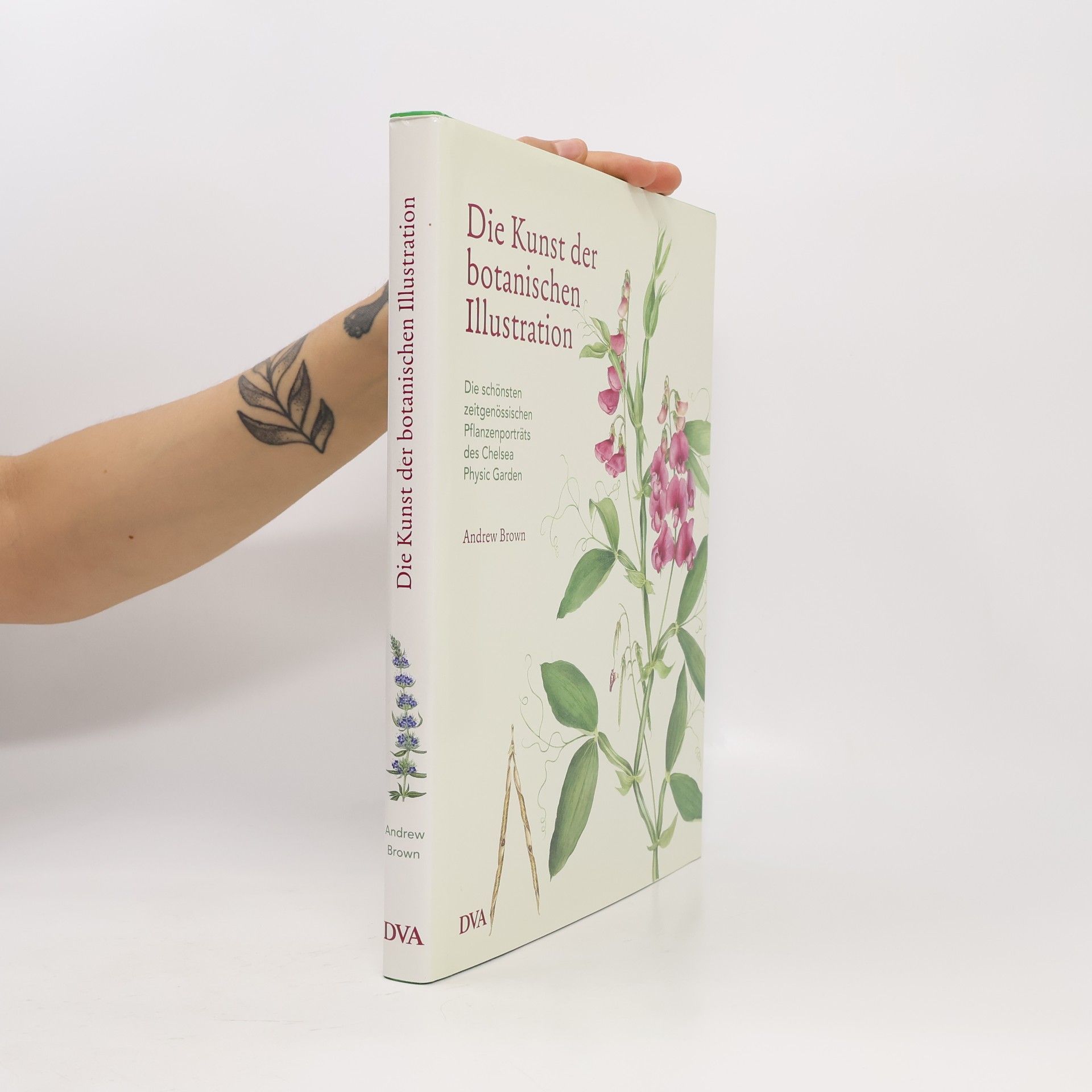 Andrew Brown Die Kunst der botanischen Illustration