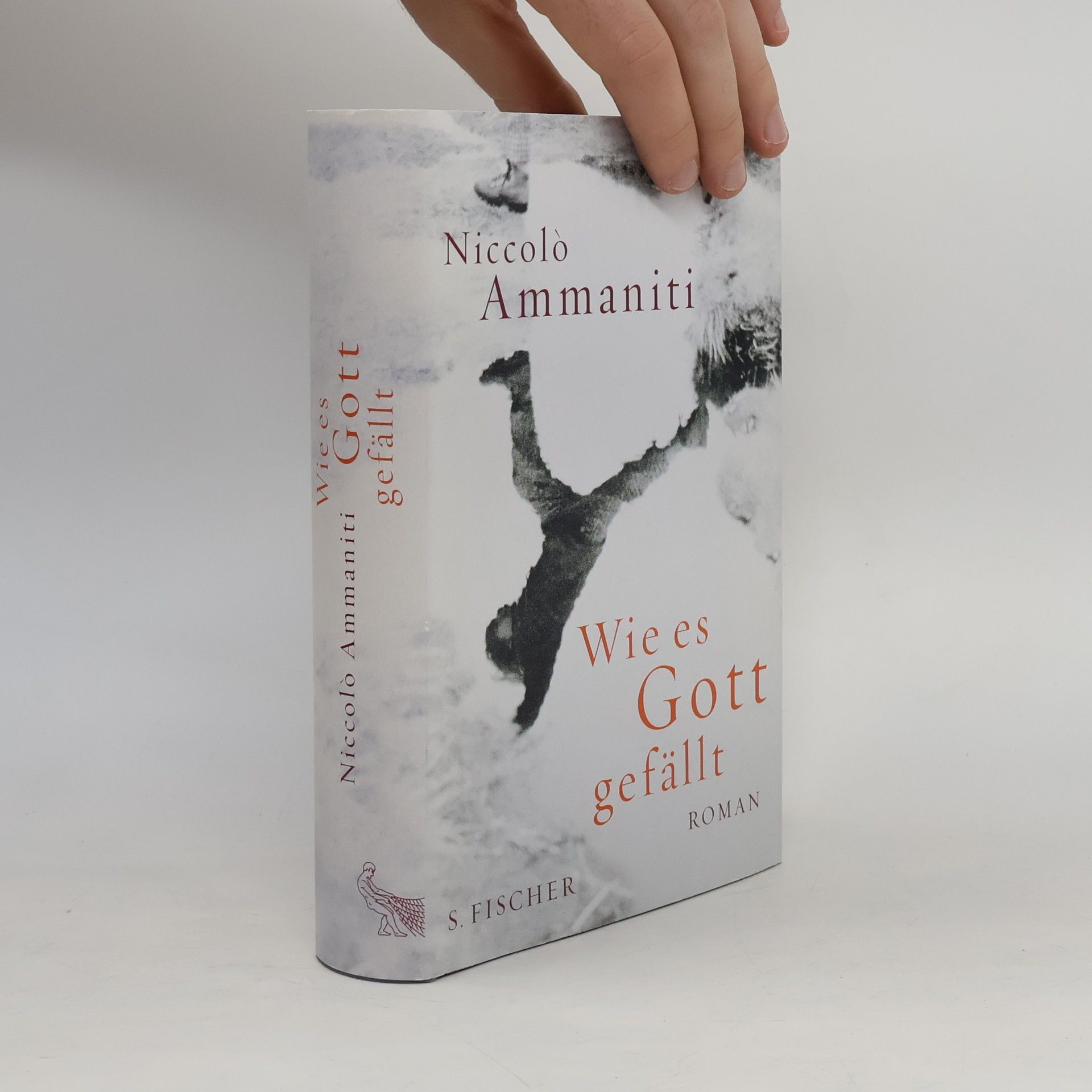 Niccolo Ammaniti Wie es Gott gefällt