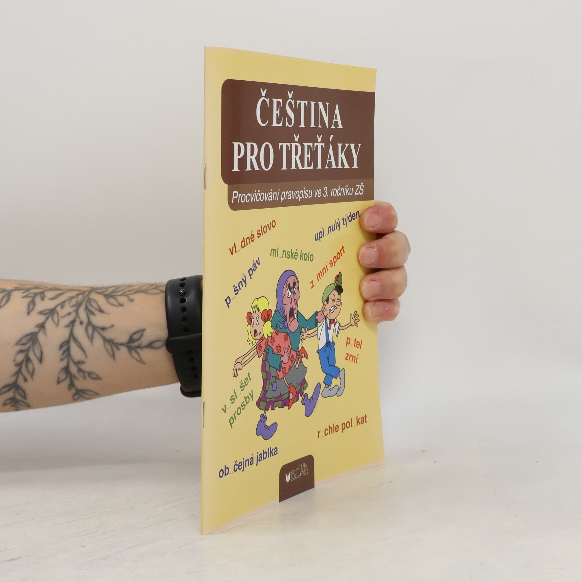 Autorenkollektiv Čeština pro třeťáky