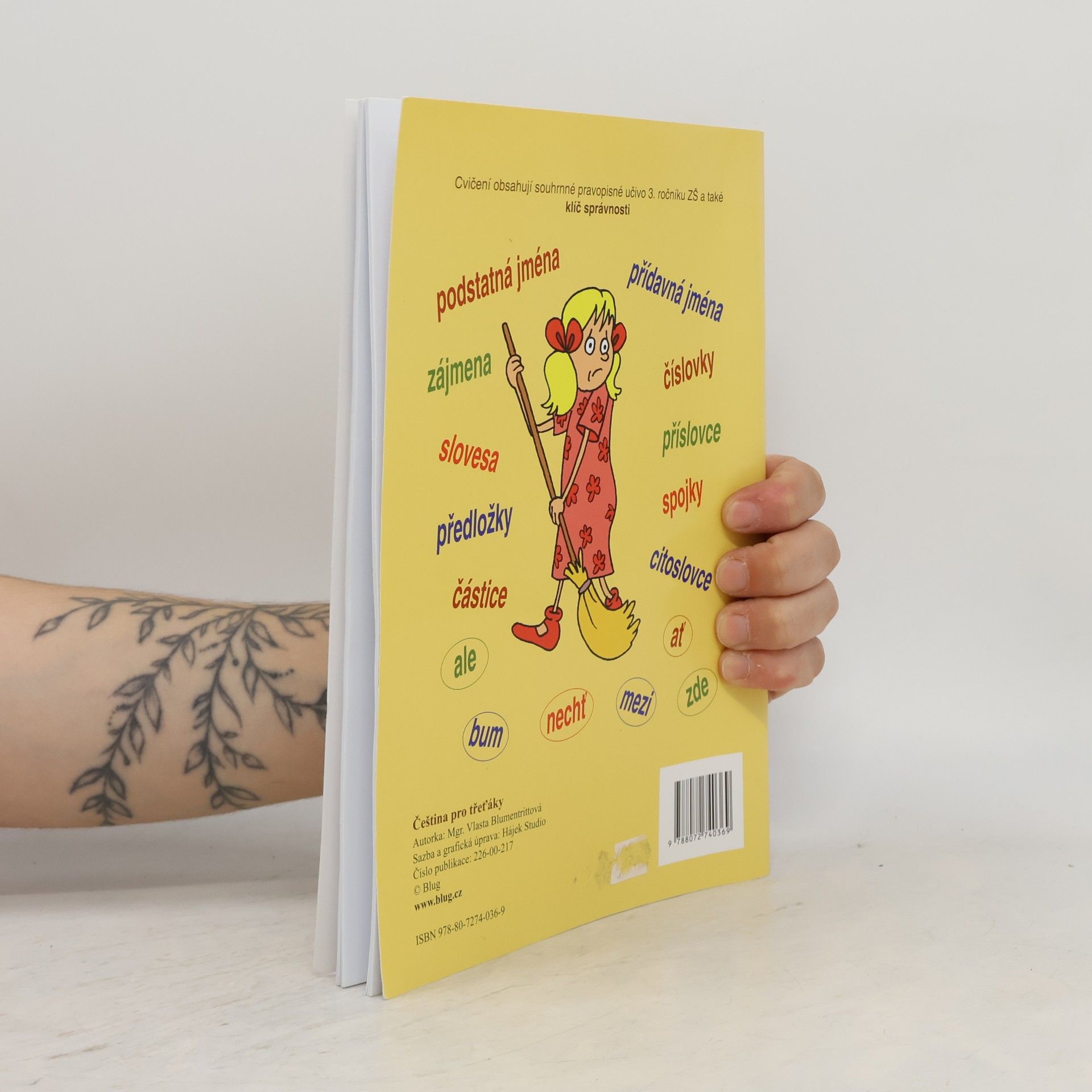 Autorenkollektiv Čeština pro třeťáky