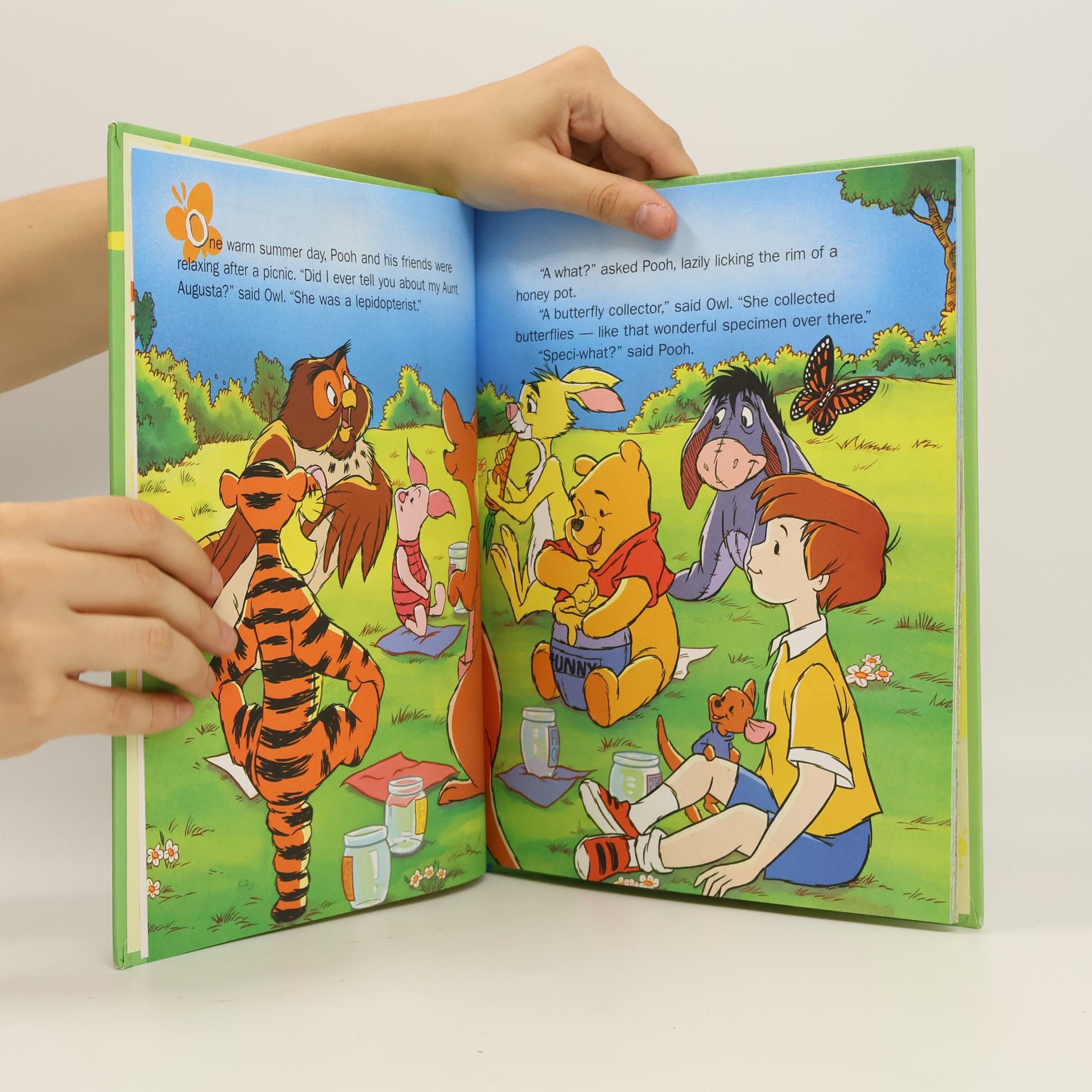 Ann Braybrooks Out & About With Pooh: A Grow And Learn Library - 17: The Bug Hunt