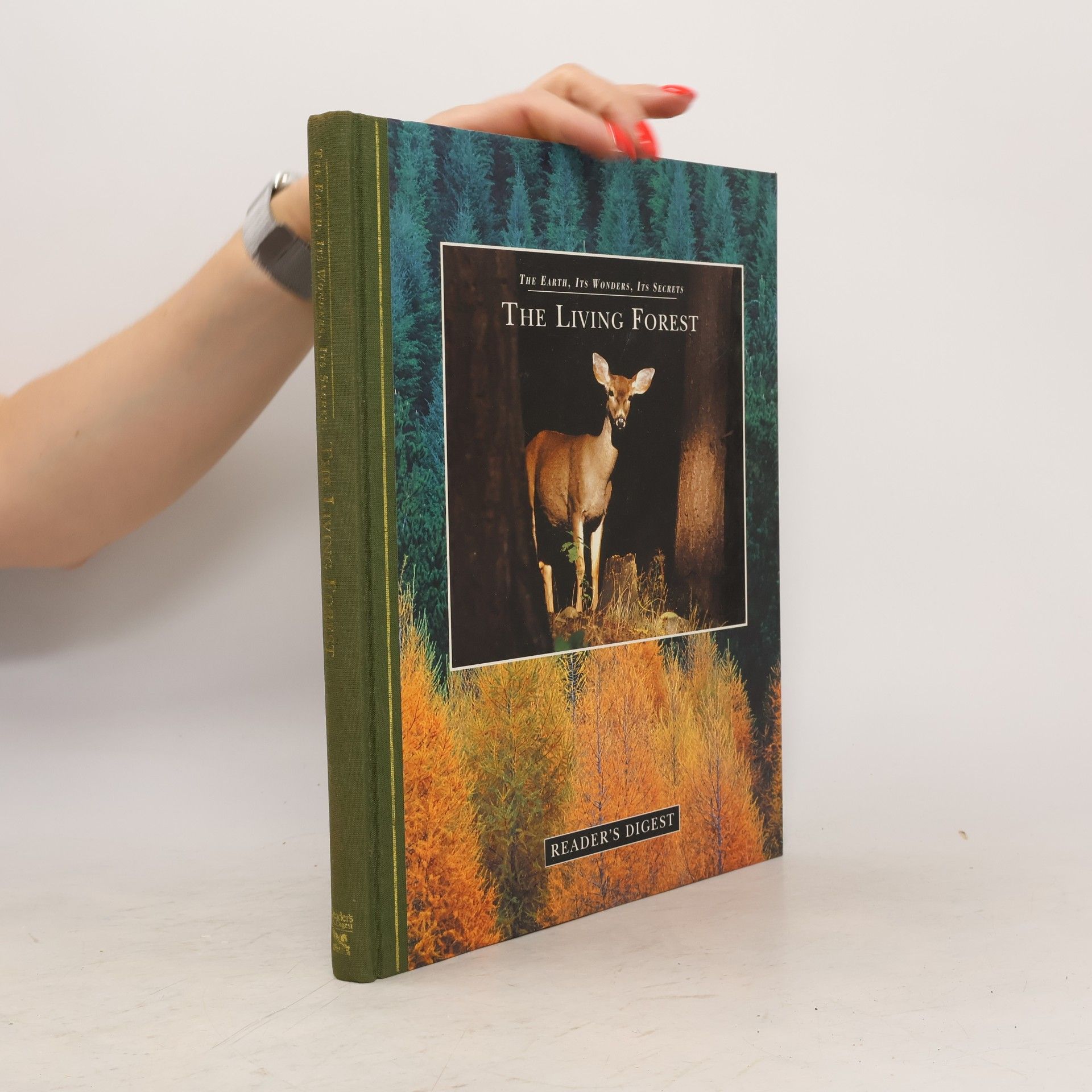 Jane MacAndrew The Living Forest
