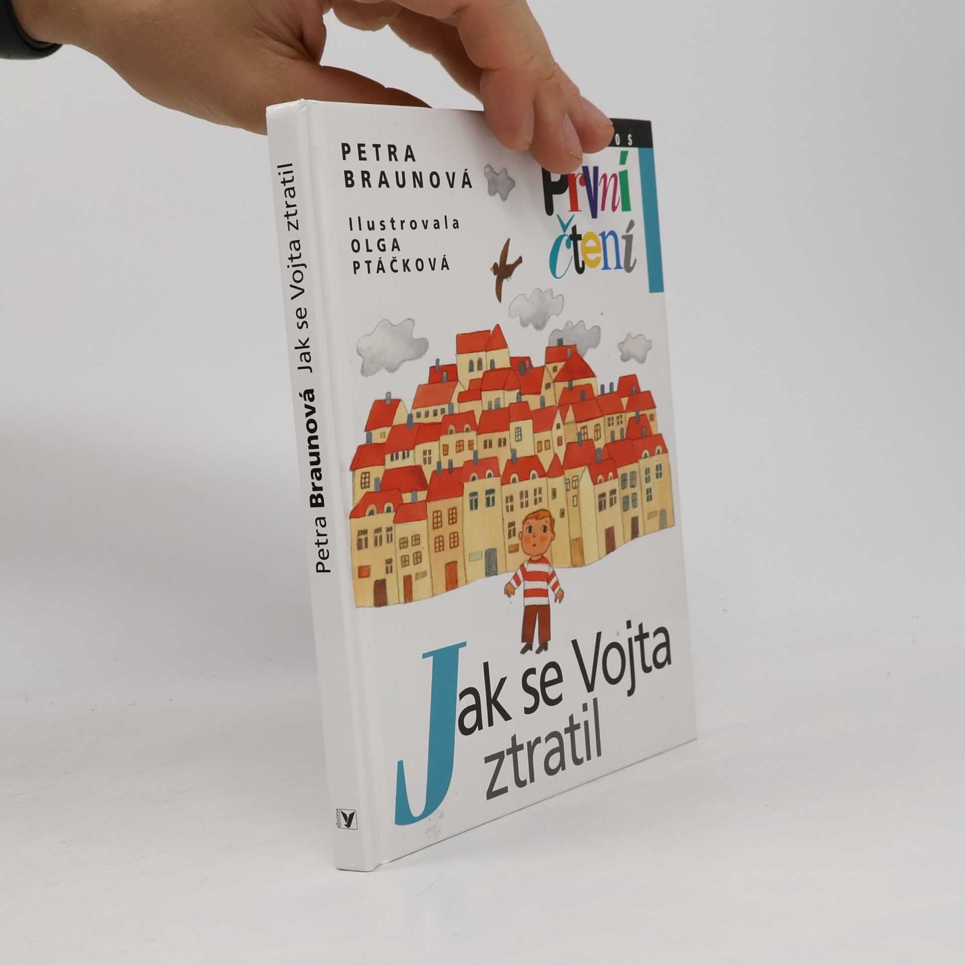 Petra Braun Groh Jak se Vojta ztratil