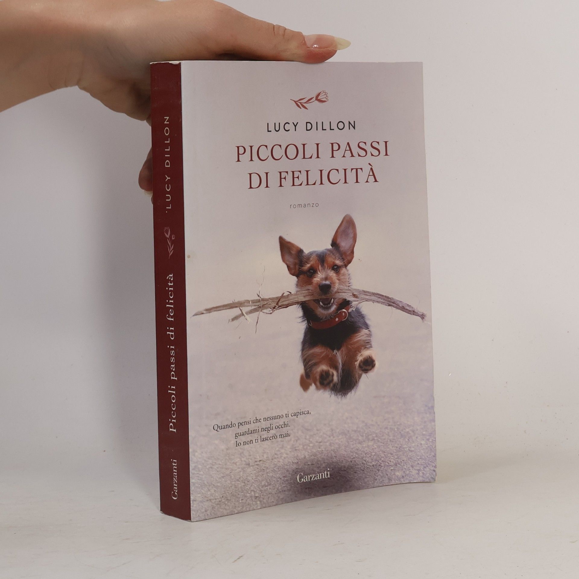 Lucy Dillon Elefanti bestseller: Piccoli passi di felicità