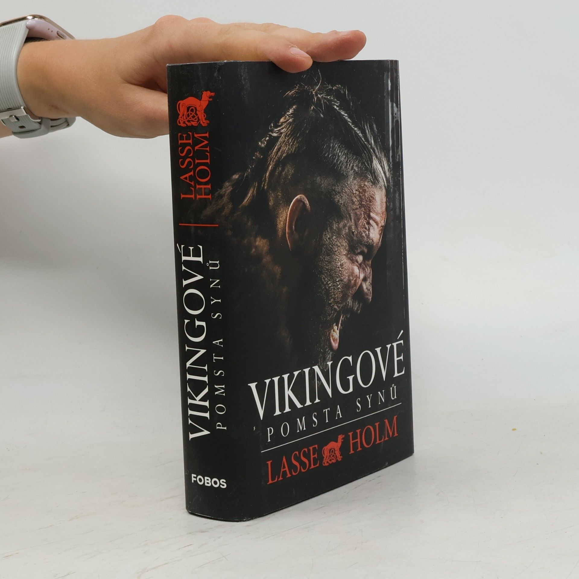 Lasse Holm Vikingové. Pomsta synů