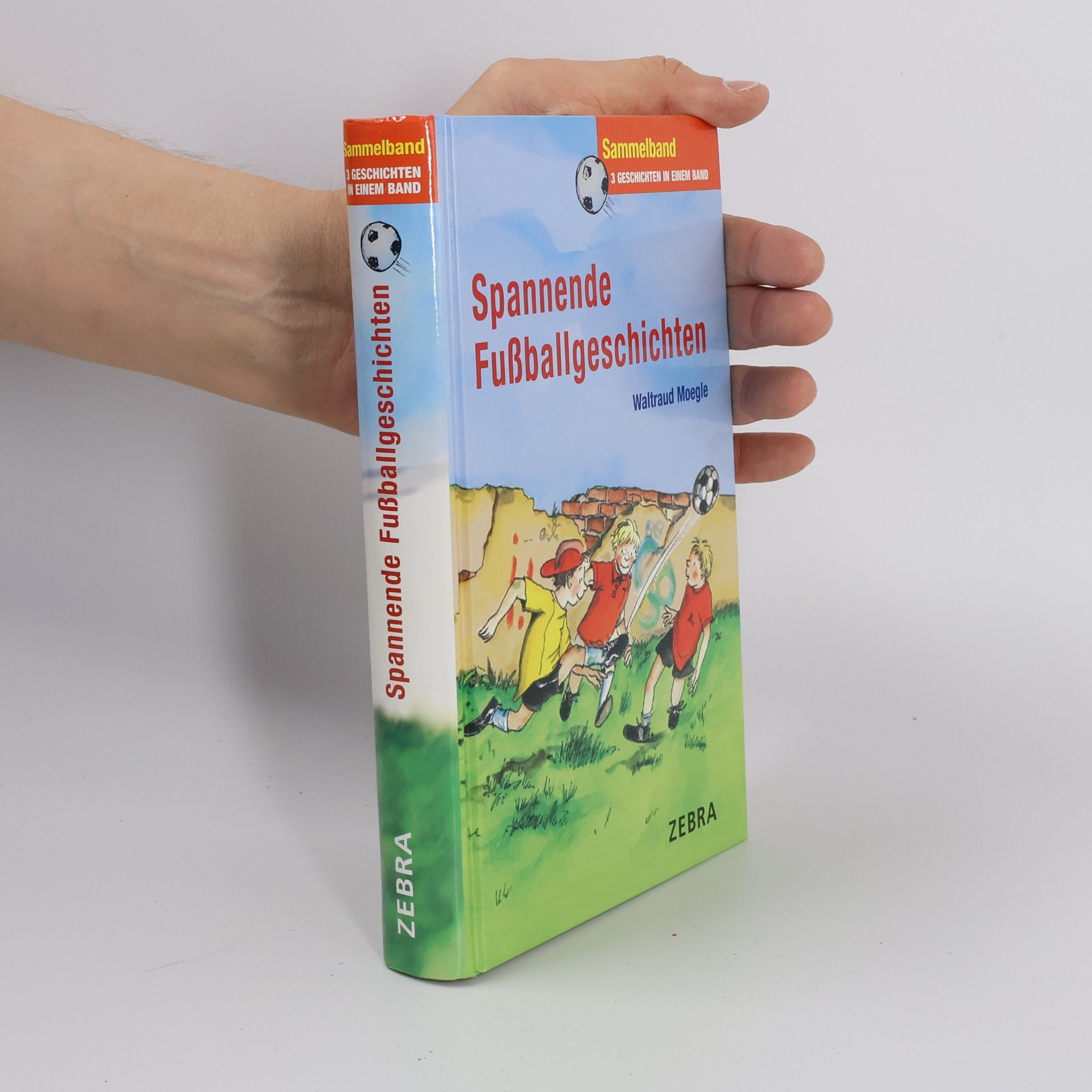 Waltraud Moegle Spannende Fussballgeschichten