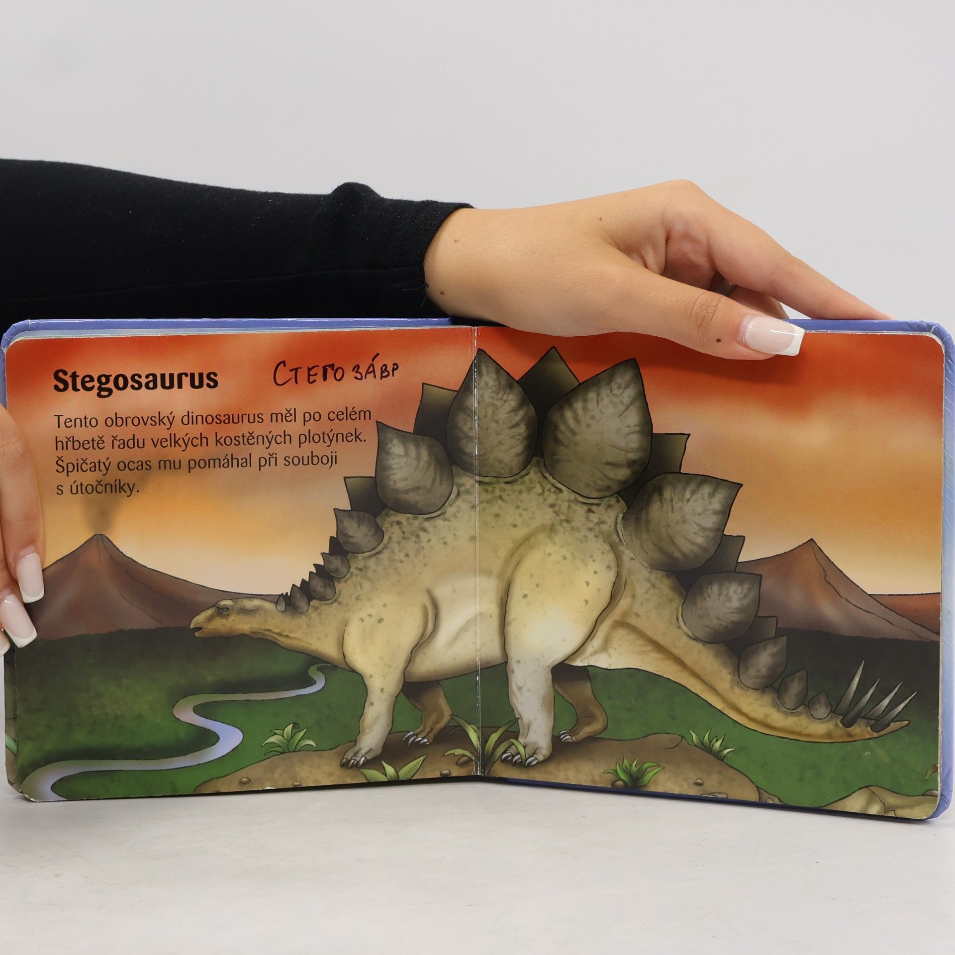 Tomáš Novotný Moje malá knížka o dinosaurech