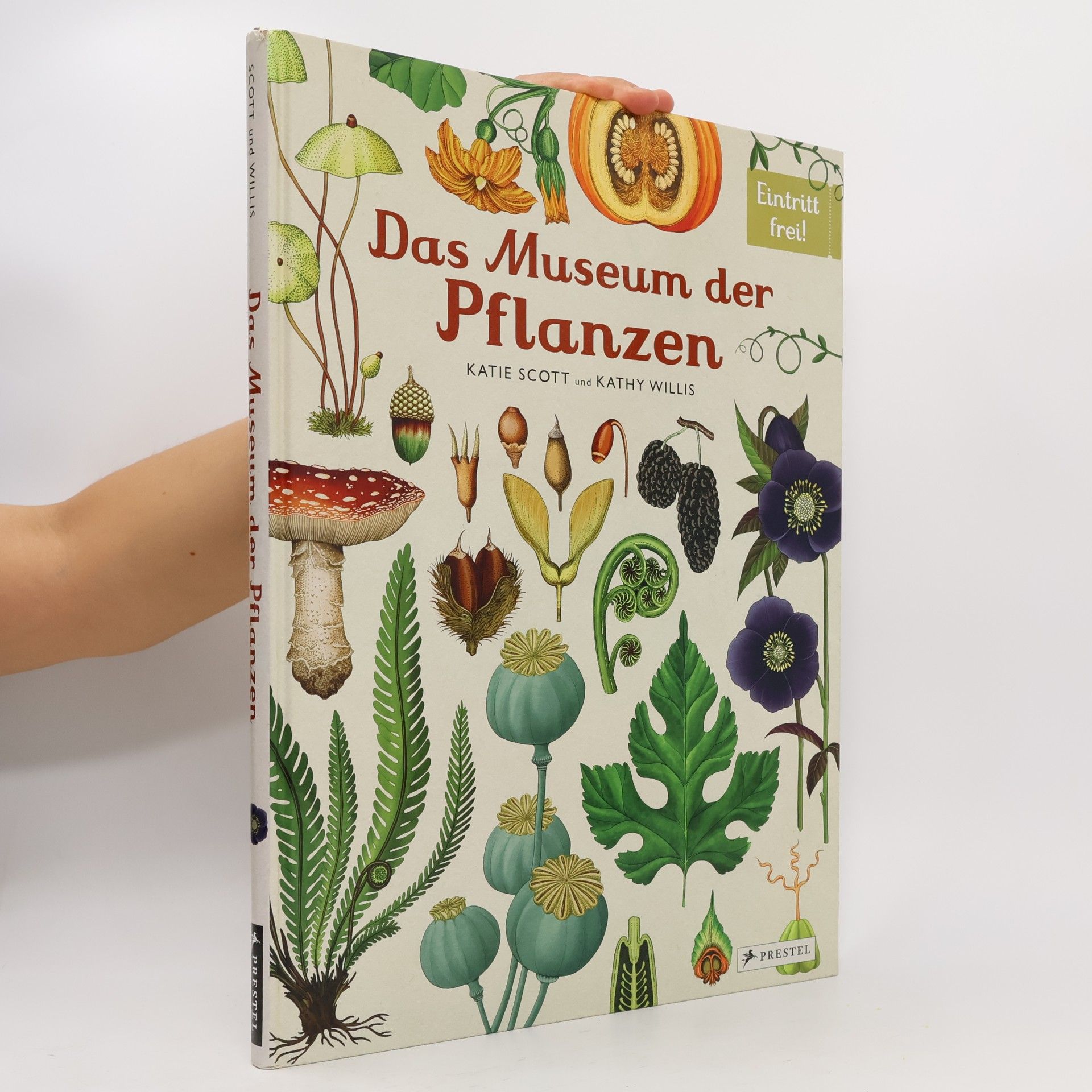 Kathy Willis Das Museum der Pflanzen