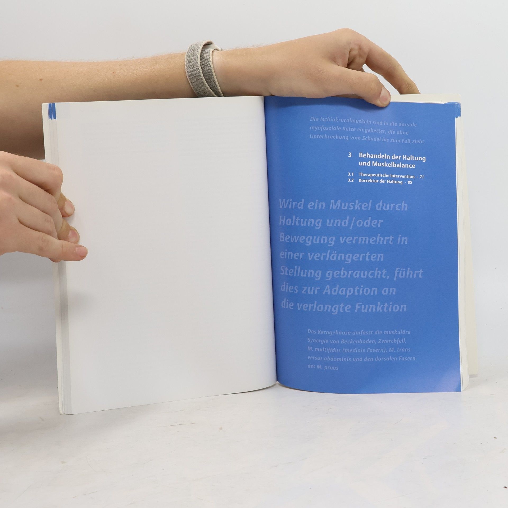 Antje Hüter-Becker Physiolehrbuch Basis: Behandeln in der Physiotherapie