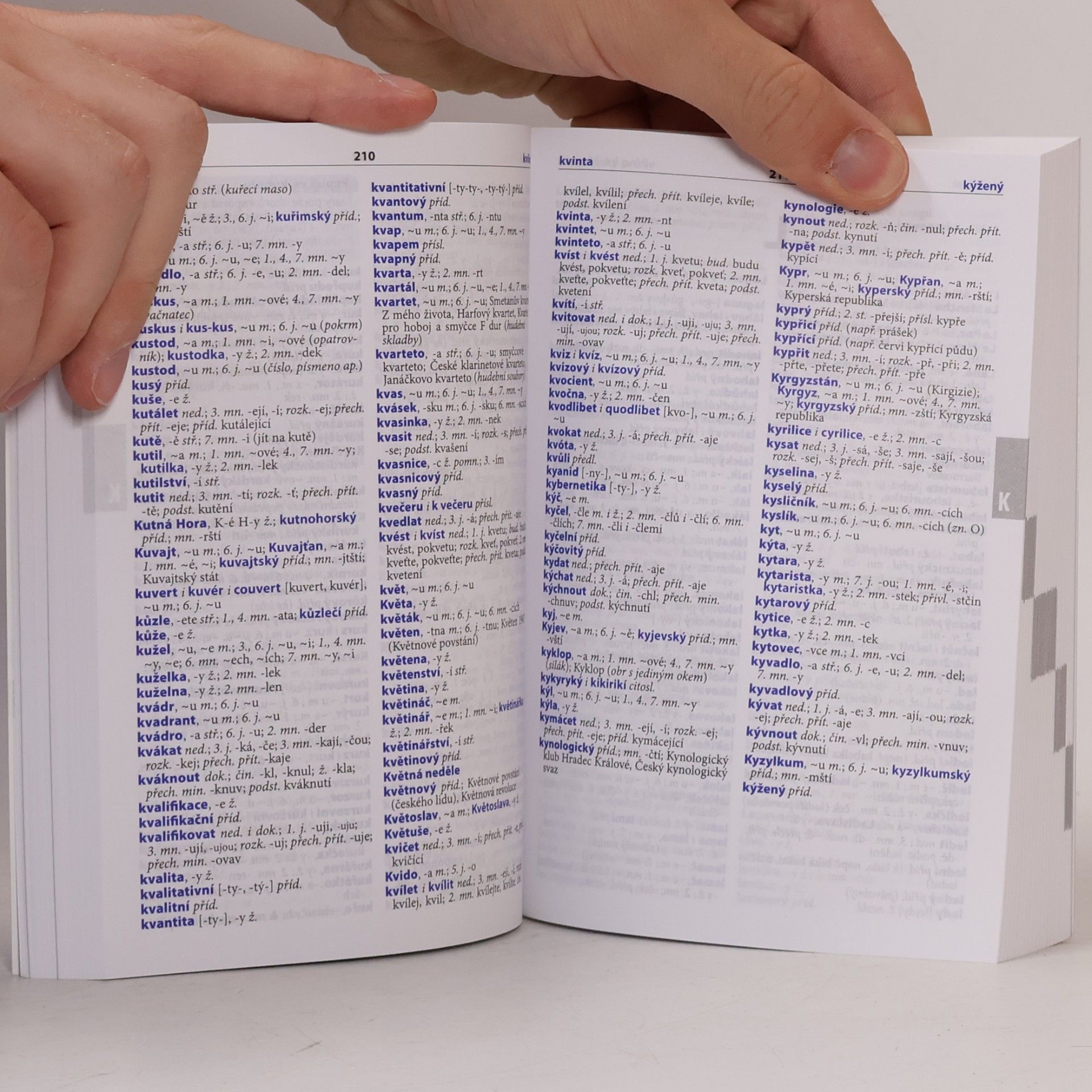 Various authors Školní pravidla českého pravopisu