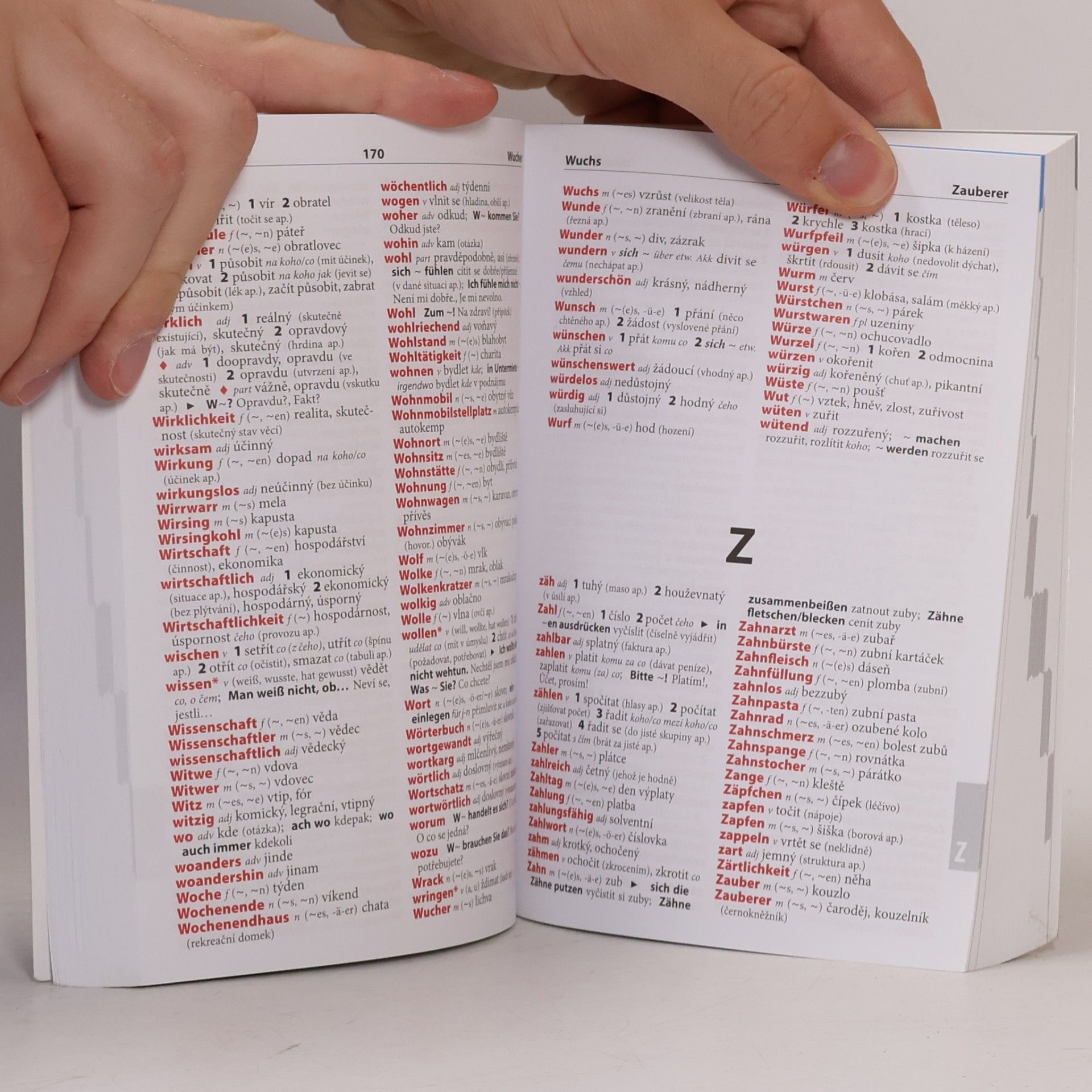 Autorenkollektiv Němčina - školní slovník NČ-ČN